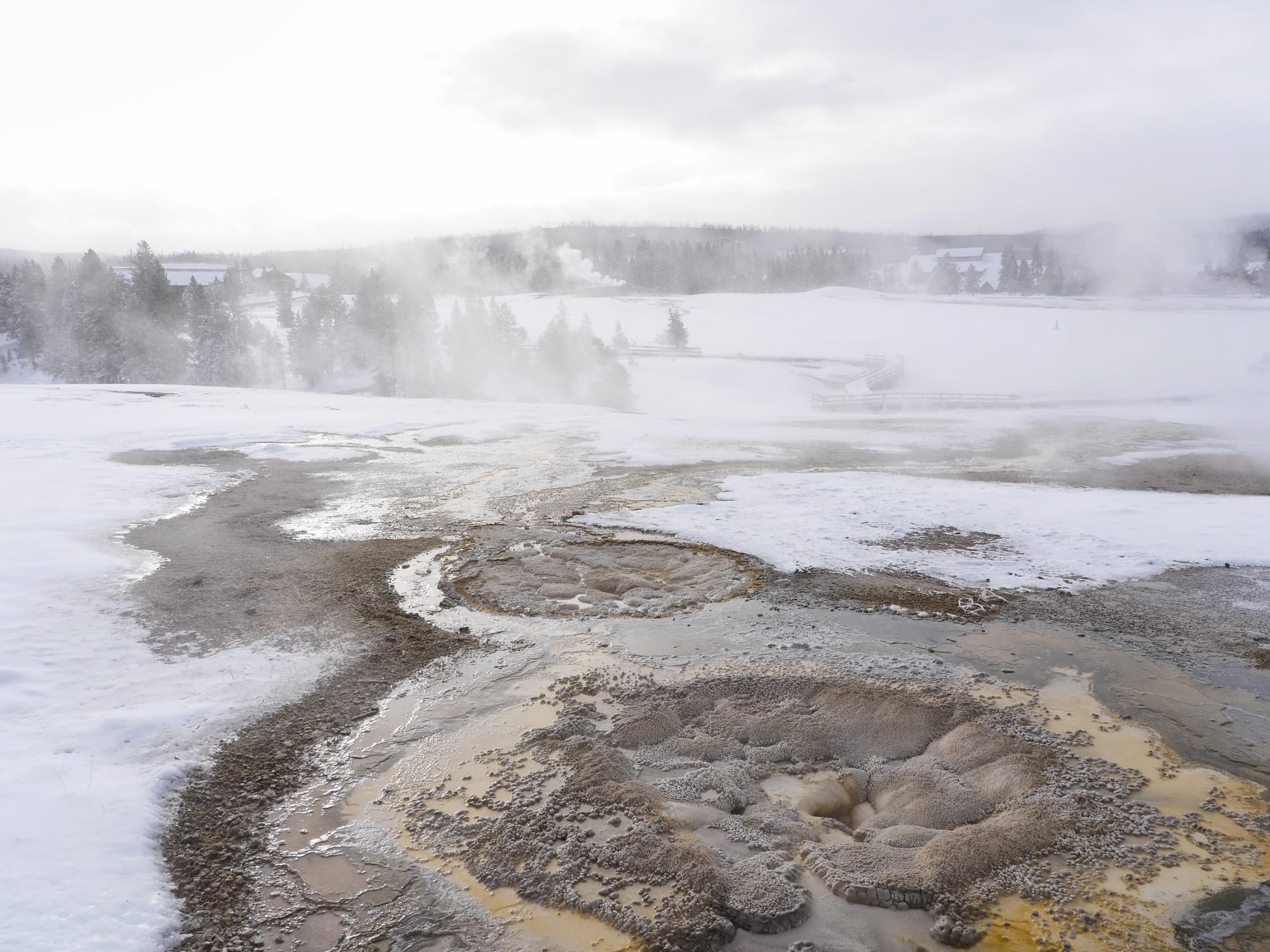 Photo by Author — snowshoe tour of the Upper Geyser Basin