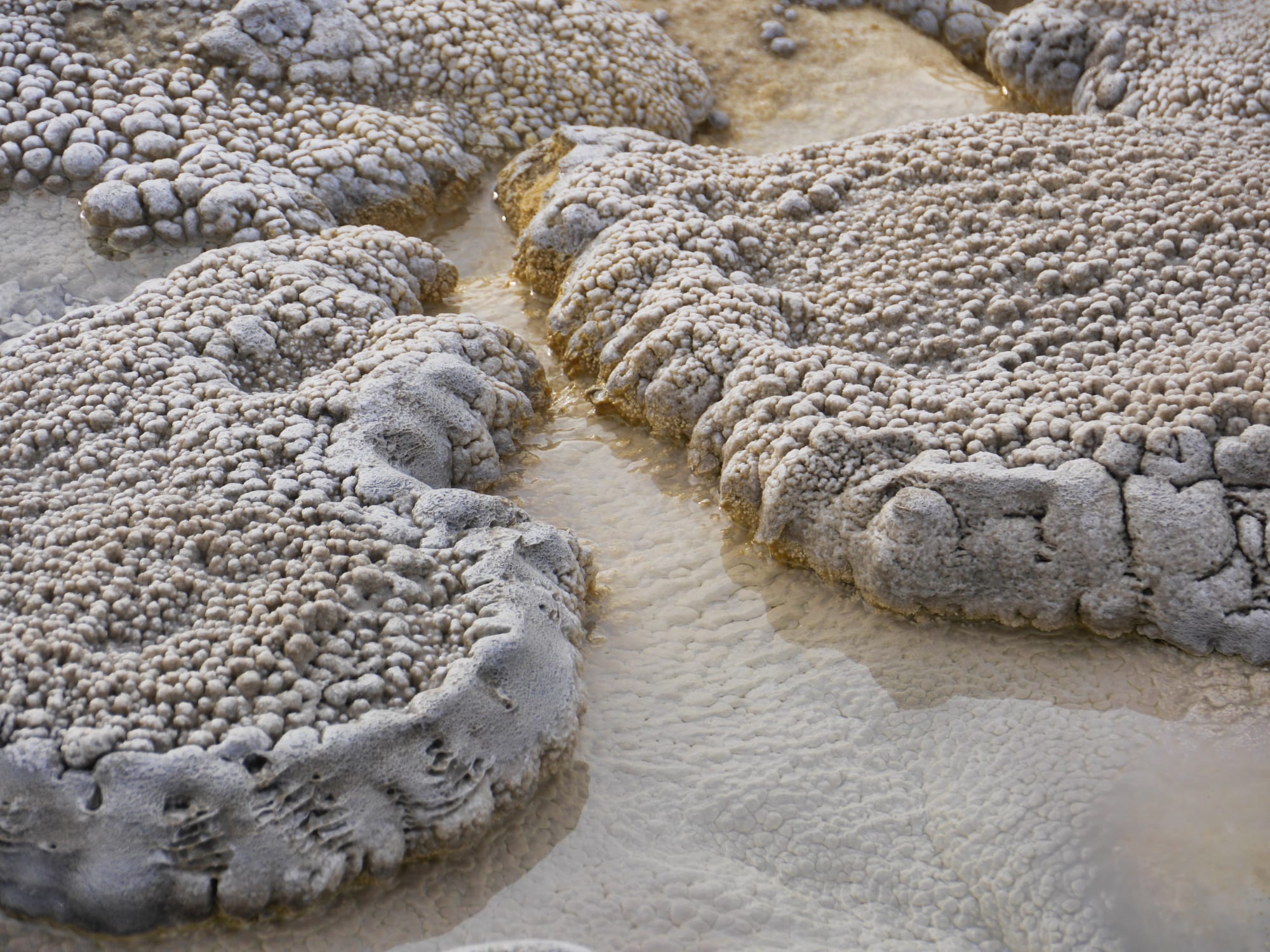 Photo by Author — snowshoe tour of the Upper Geyser Basin — precipitated rock formations