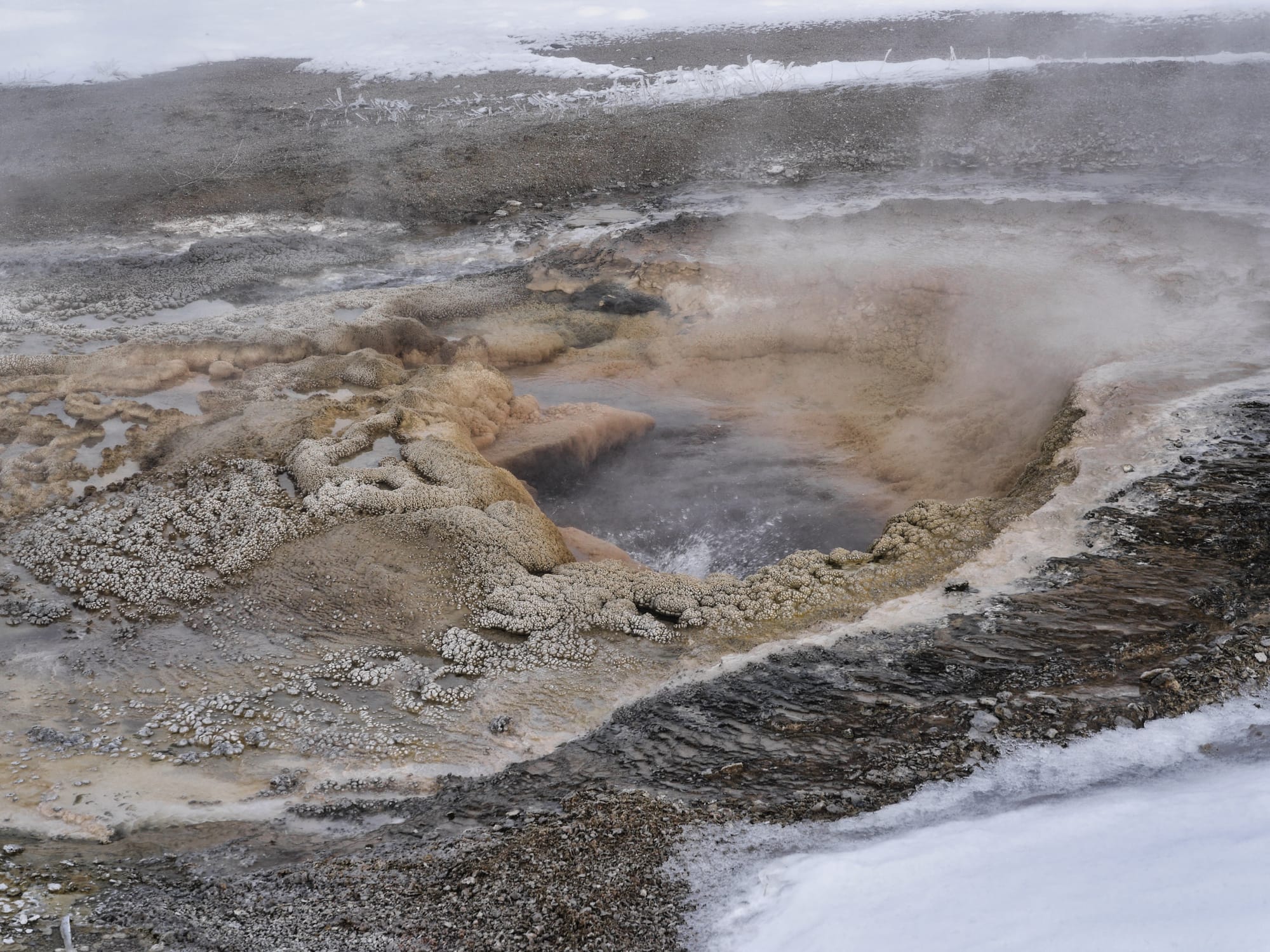 Photo by Author — snowshoe tour of the Upper Geyser Basin — precipitated rock formations