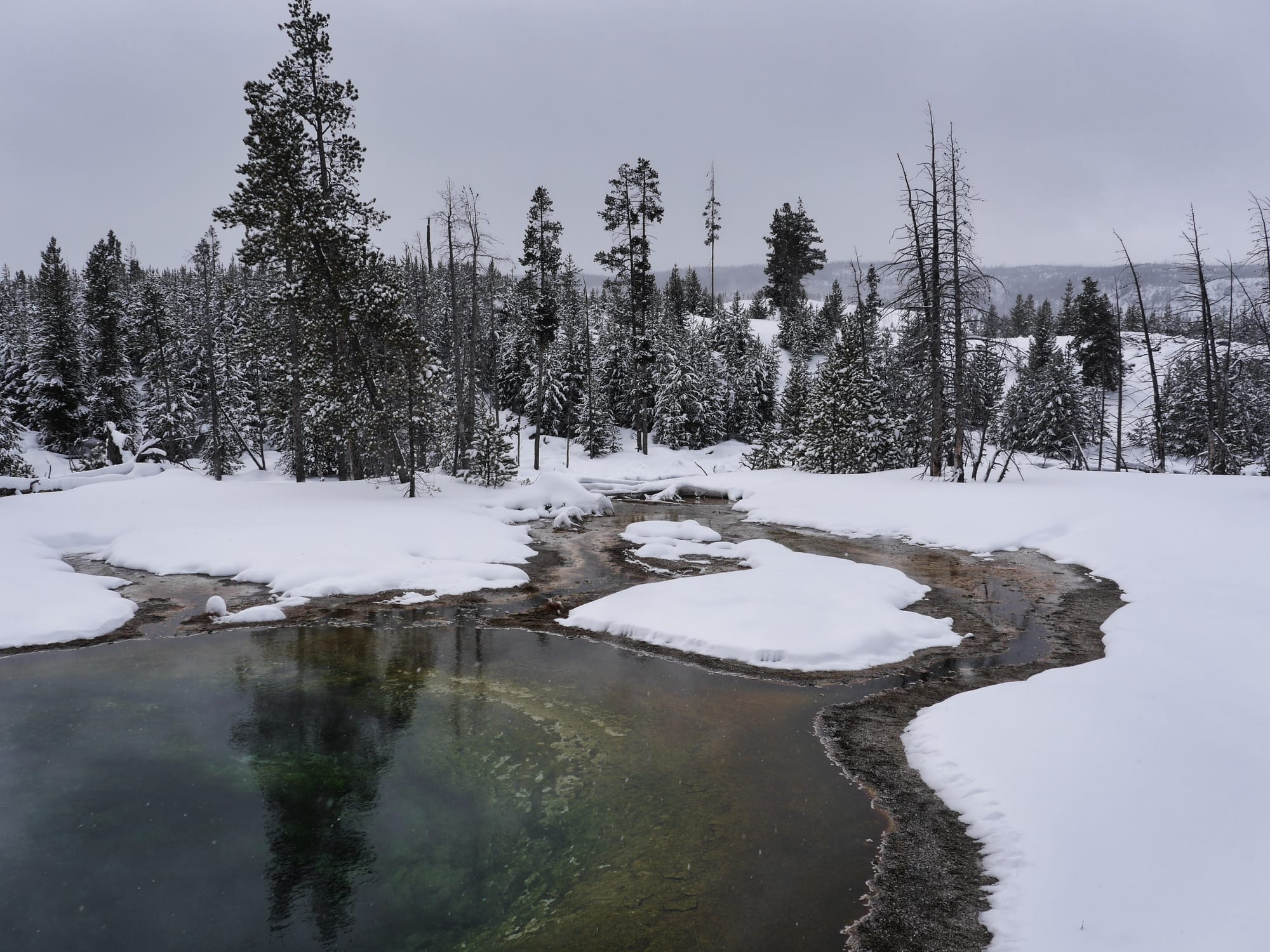 Photo by Author — snowshoe tour of the Upper Geyser Basin