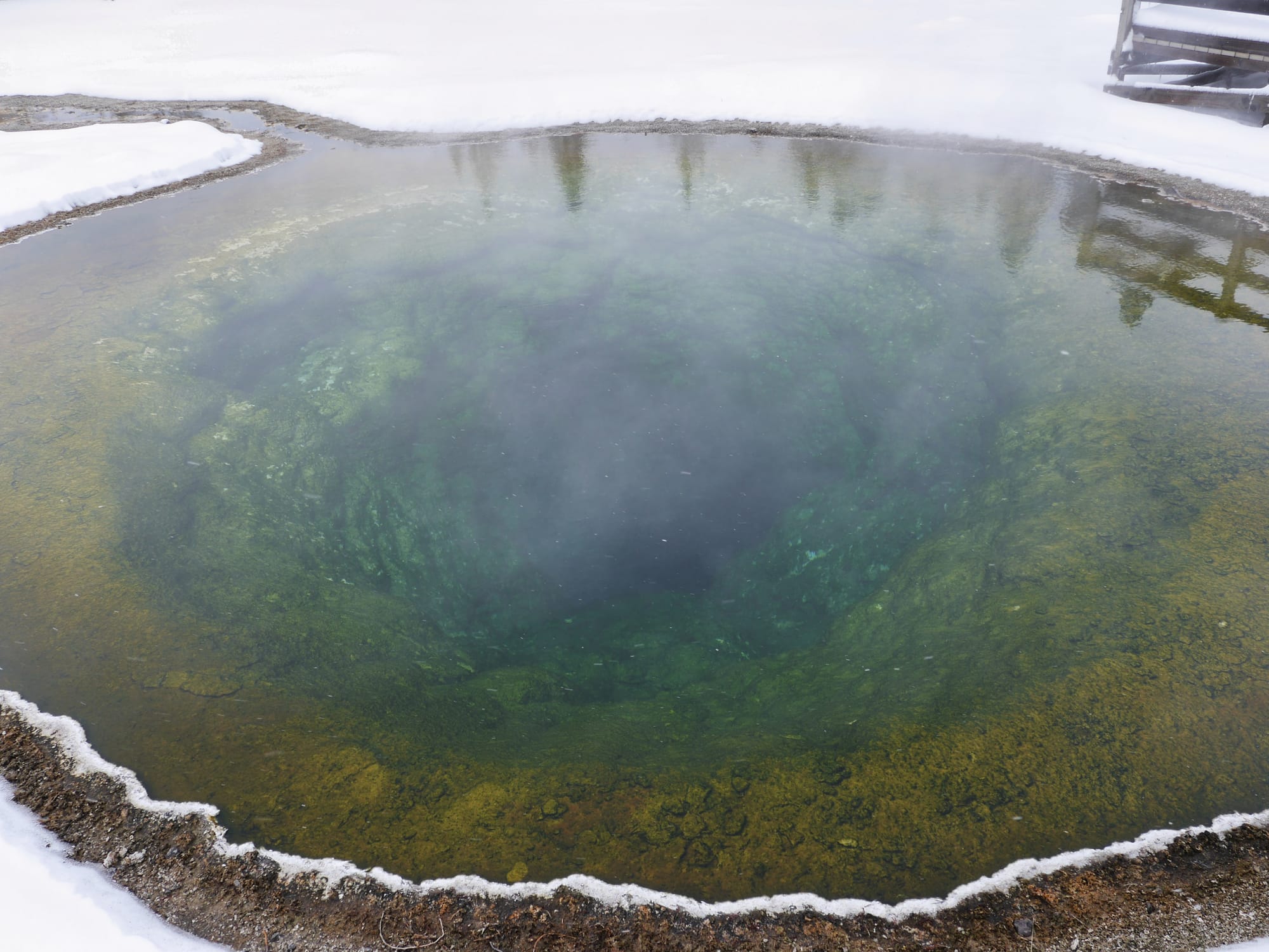 Photo by Author — snowshoe tour of the Upper Geyser Basin