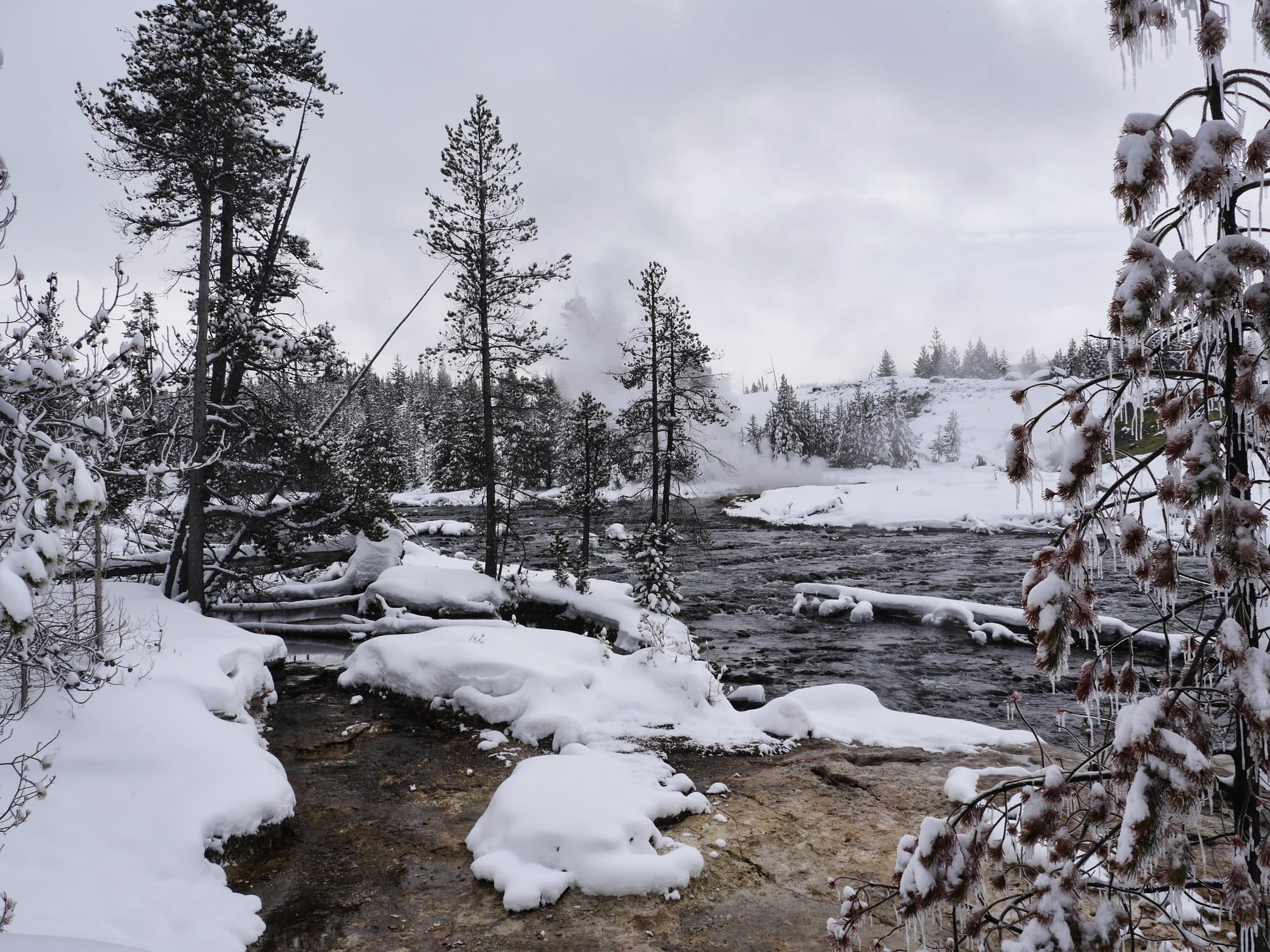 Photo by Author — snowshoe tour of the Upper Geyser Basin