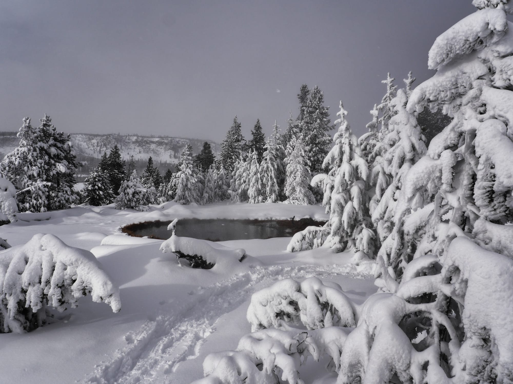 Photo by Author — snowshoe tour of the Upper Geyser Basin
