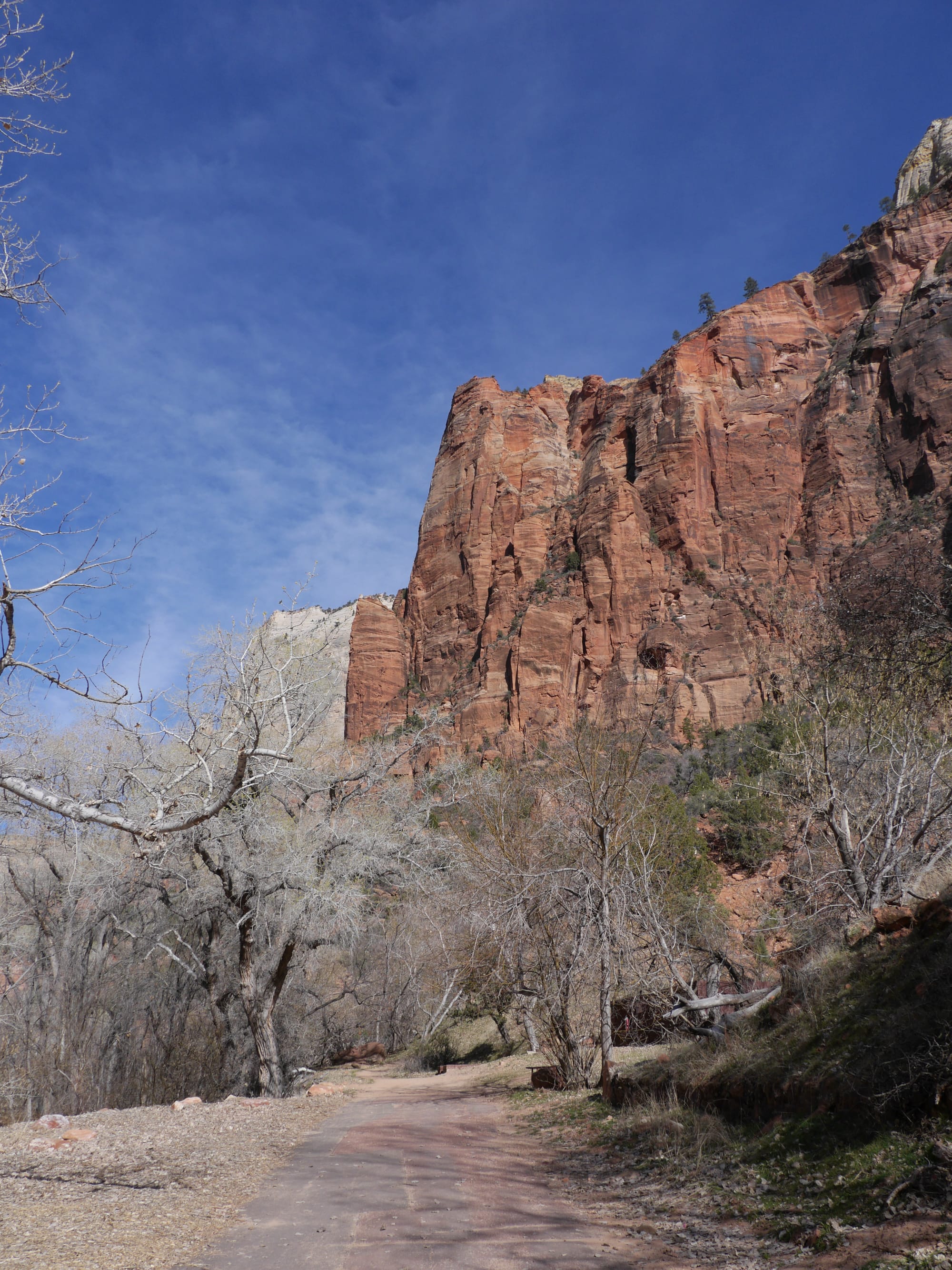Photo by Author — The Grotto and Emerald Pools Trail, Zion National Park, Utah
