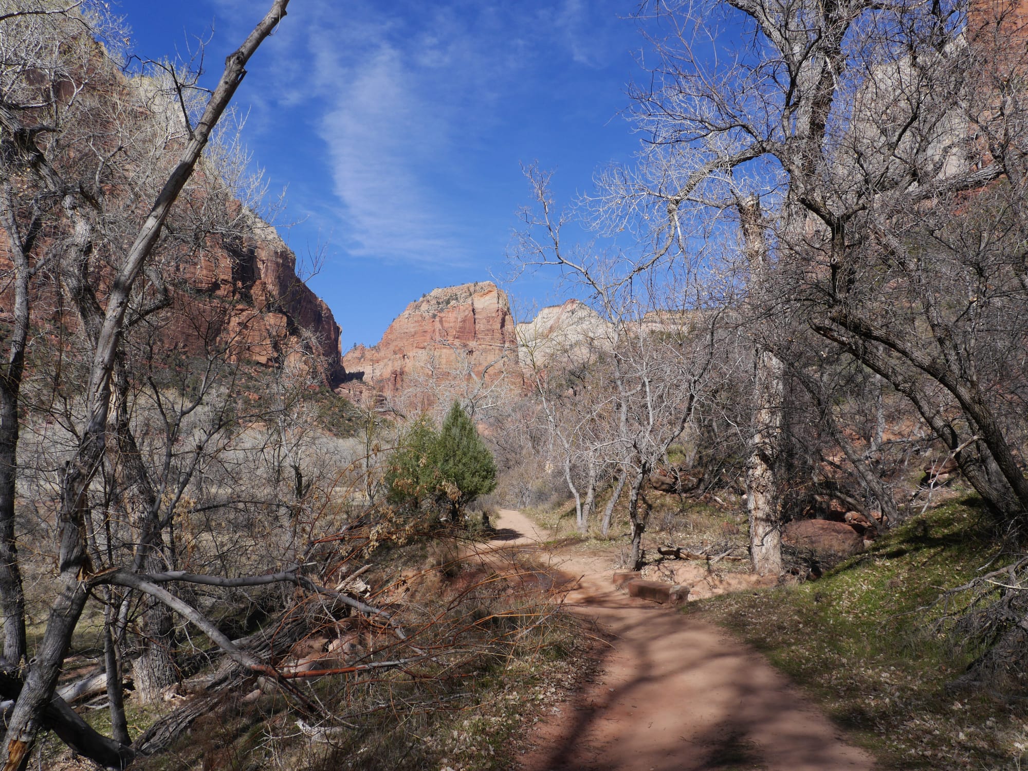 Photo by Author — The Grotto and Emerald Pools Trail, Zion National Park, Utah