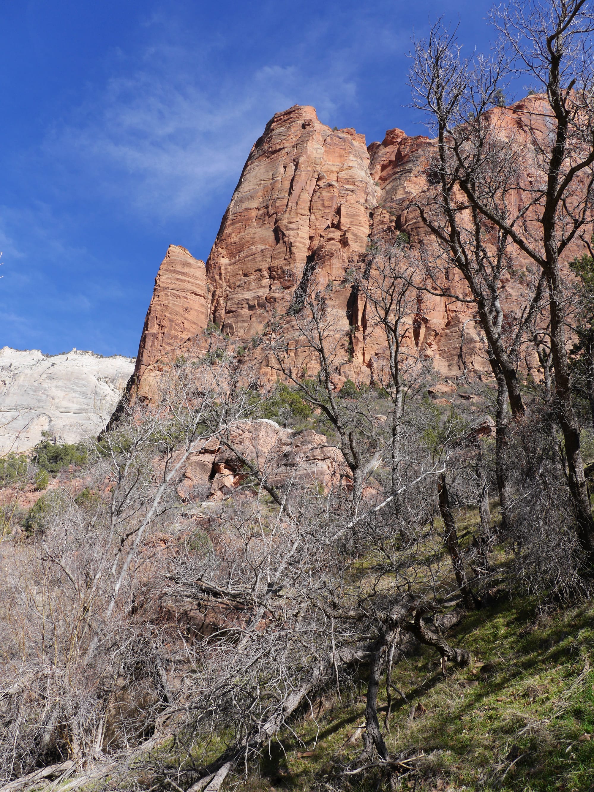 Photo by Author — The Grotto and Emerald Pools Trail, Zion National Park, Utah