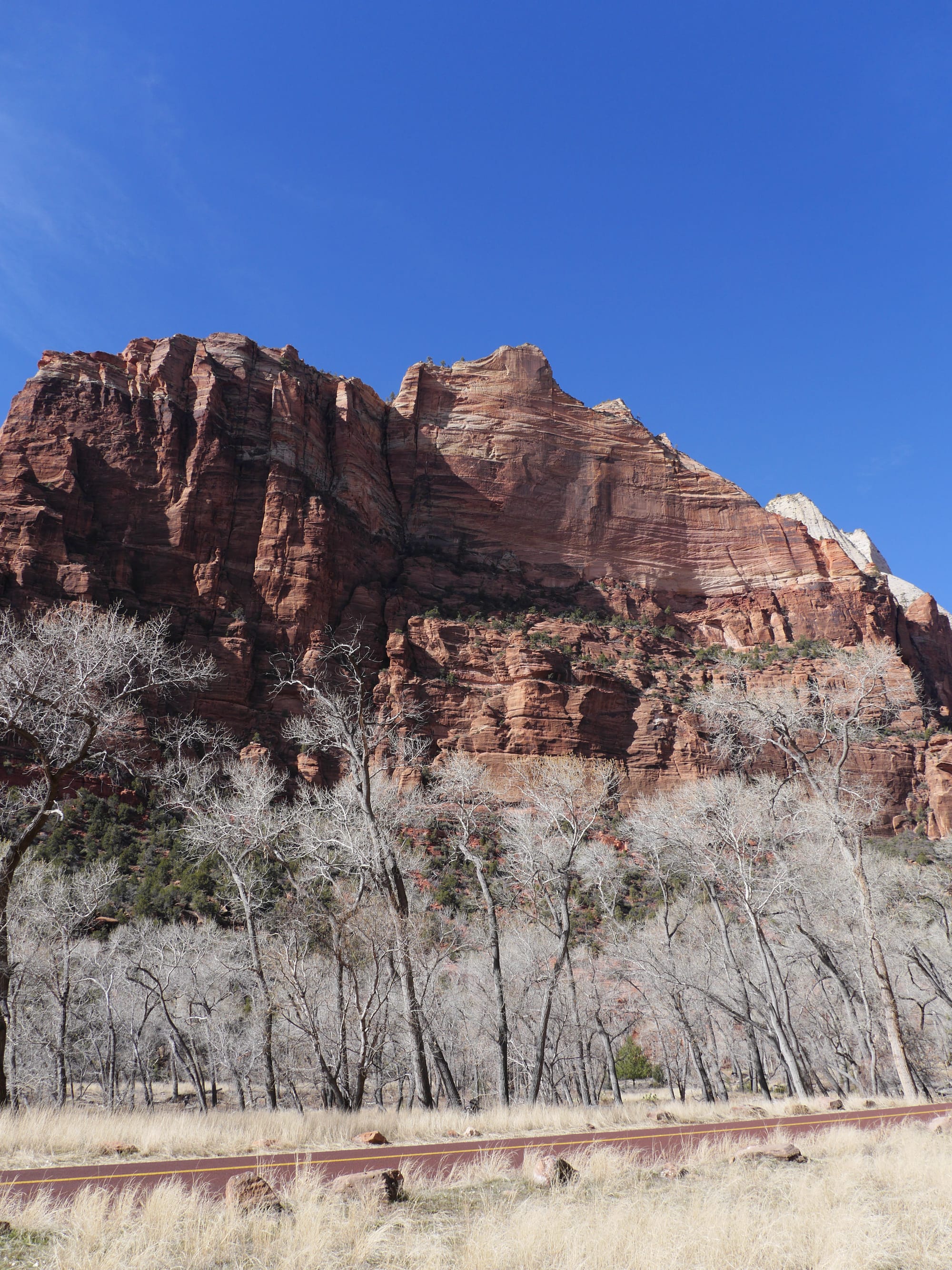 Photo by Author — The Grotto and Emerald Pools Trail, Zion National Park, Utah