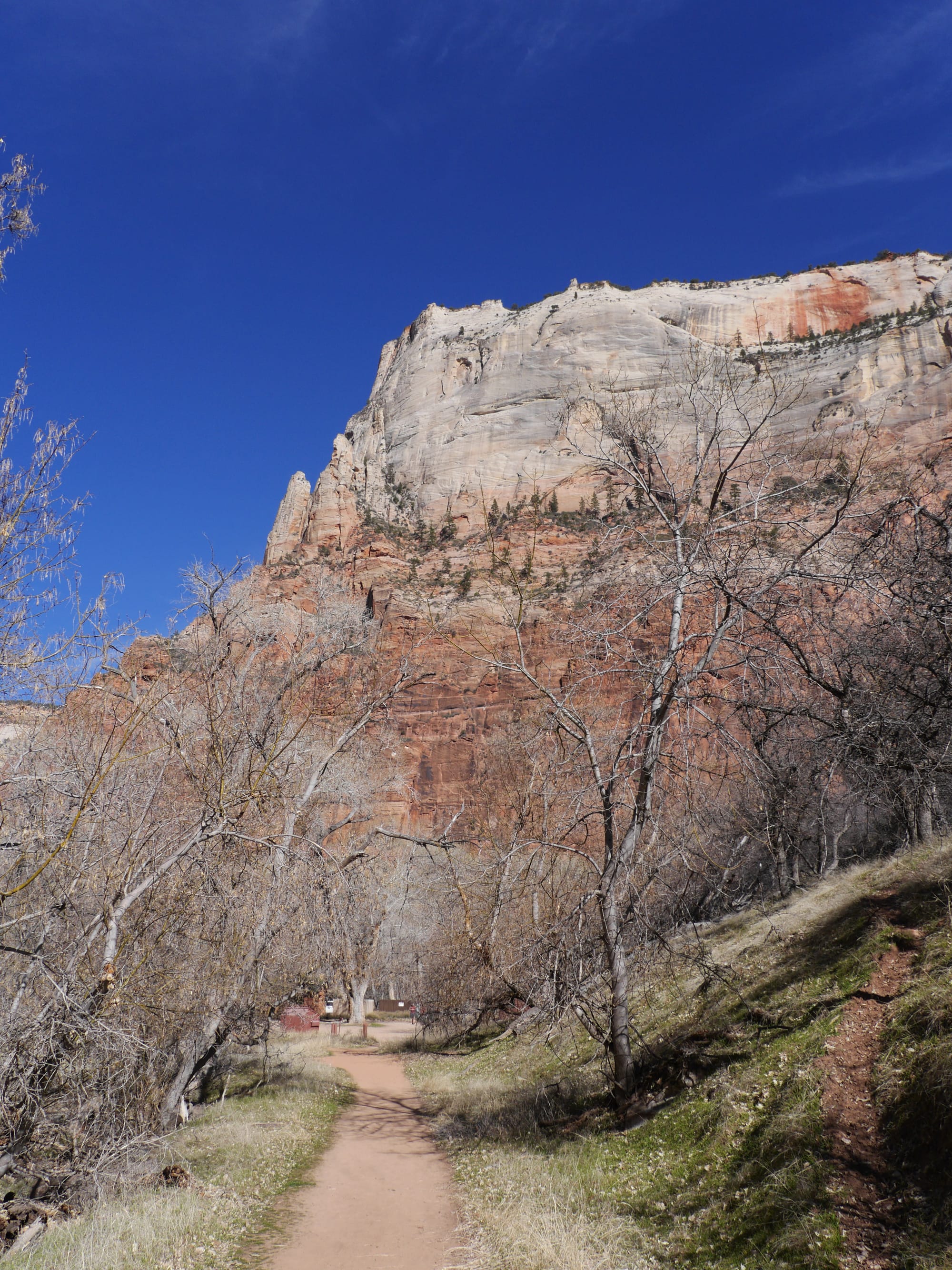Photo by Author — The Grotto and Emerald Pools Trail, Zion National Park, Utah