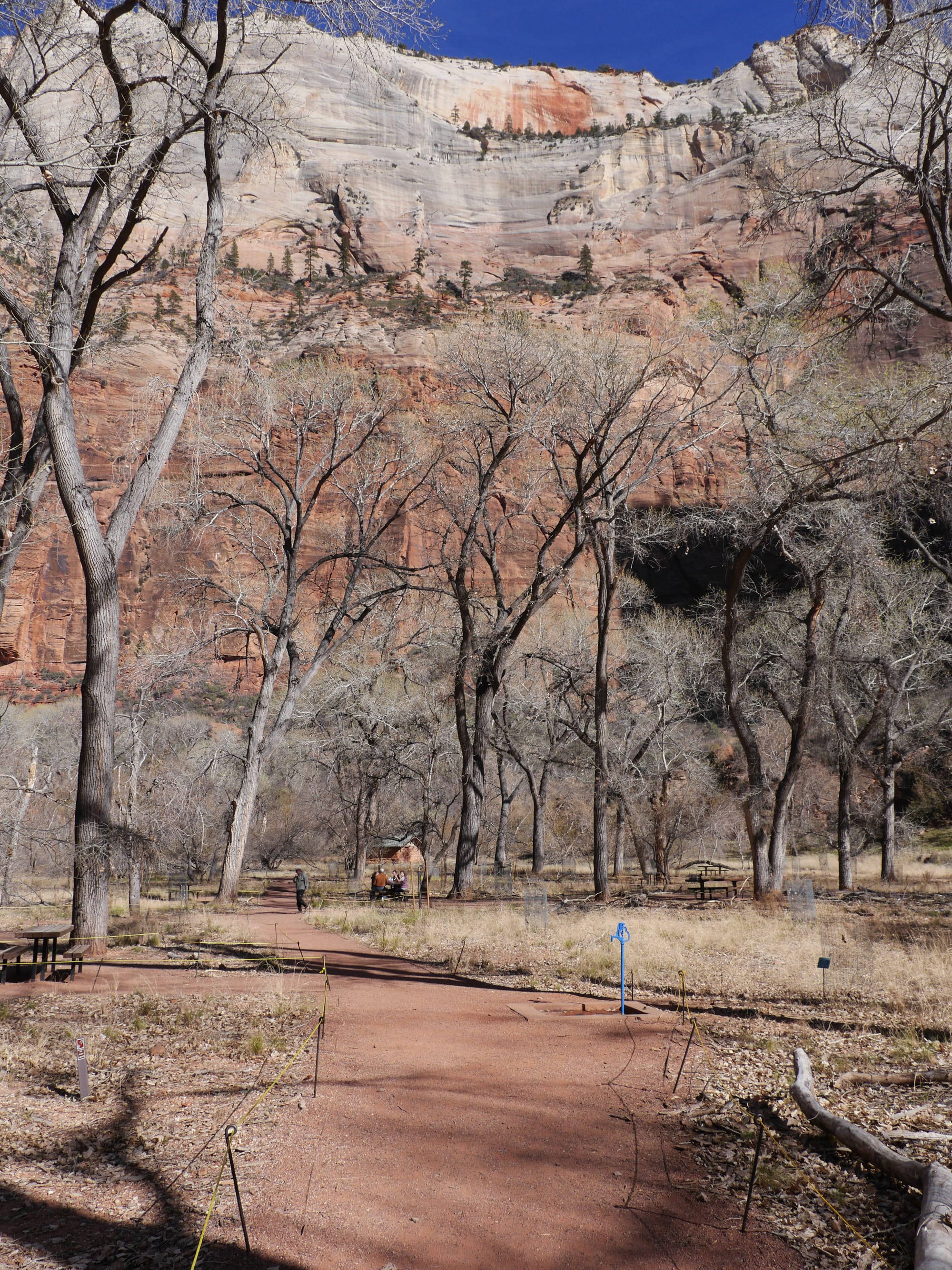 Photo by Author — The Grotto and Emerald Pools Trail, Zion National Park, Utah