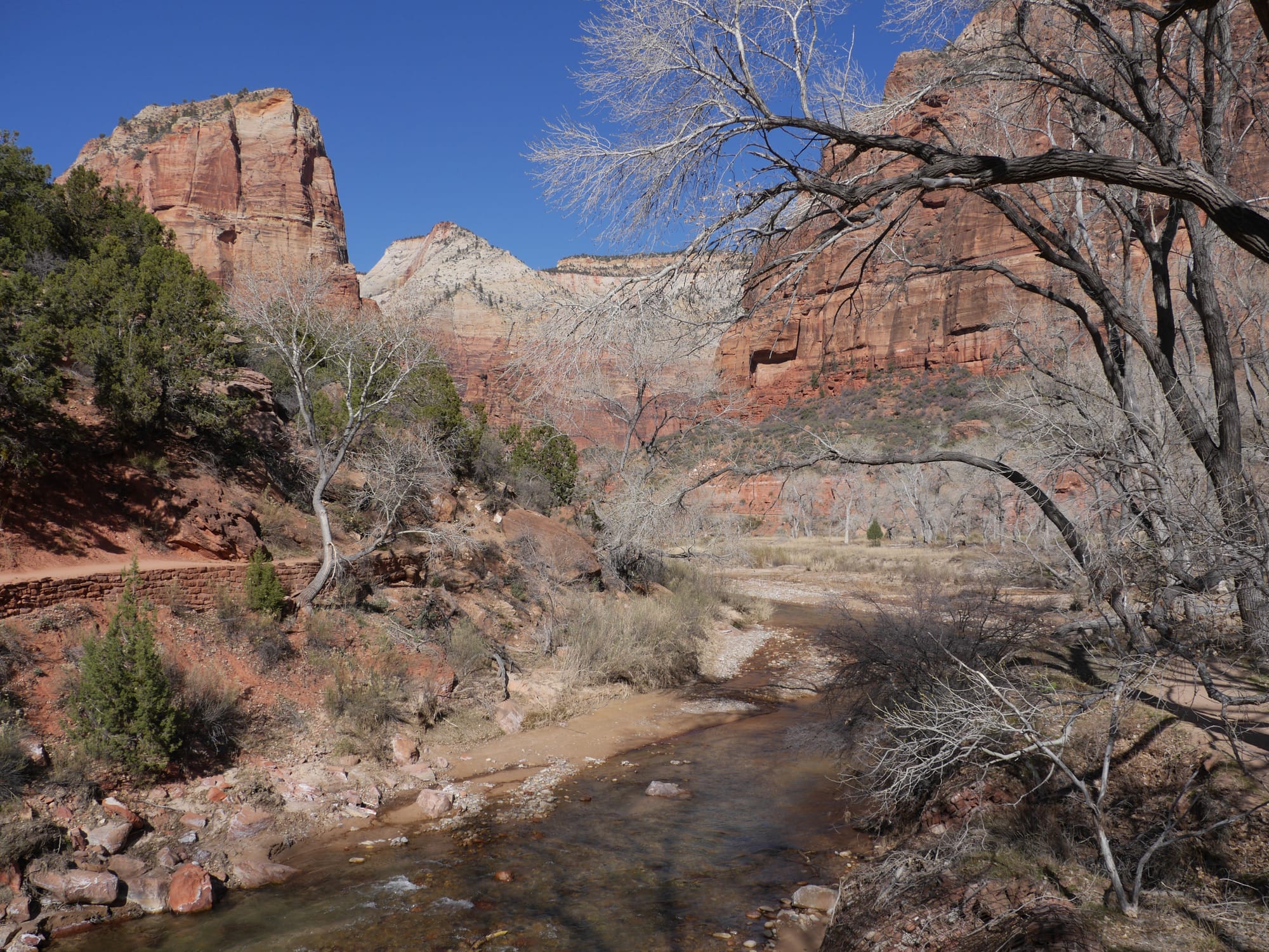Photo by Author — The Grotto and Emerald Pools Trail, Zion National Park, Utah