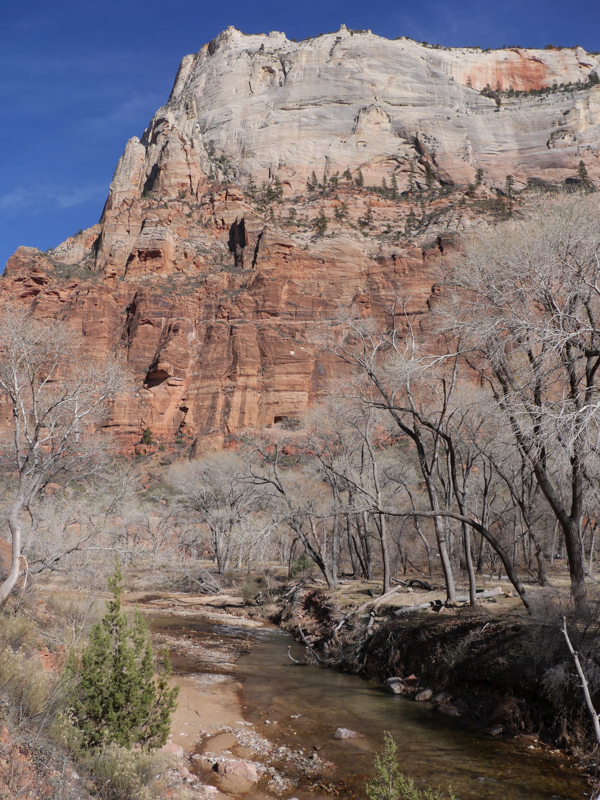 Photo by Author — The Grotto and Emerald Pools Trail, Zion National Park, Utah