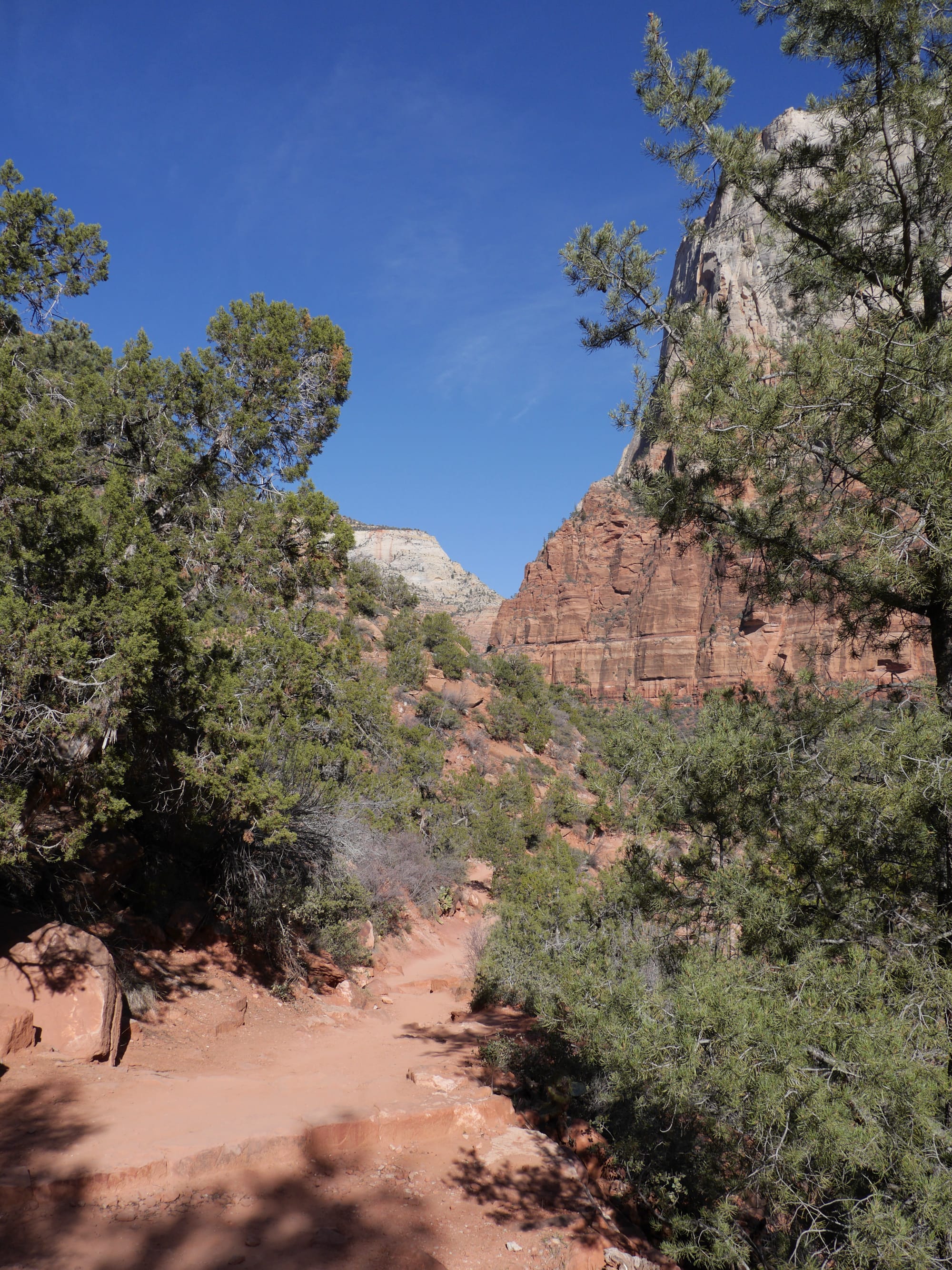 Photo by Author — The Grotto and Emerald Pools Trail, Zion National Park, Utah