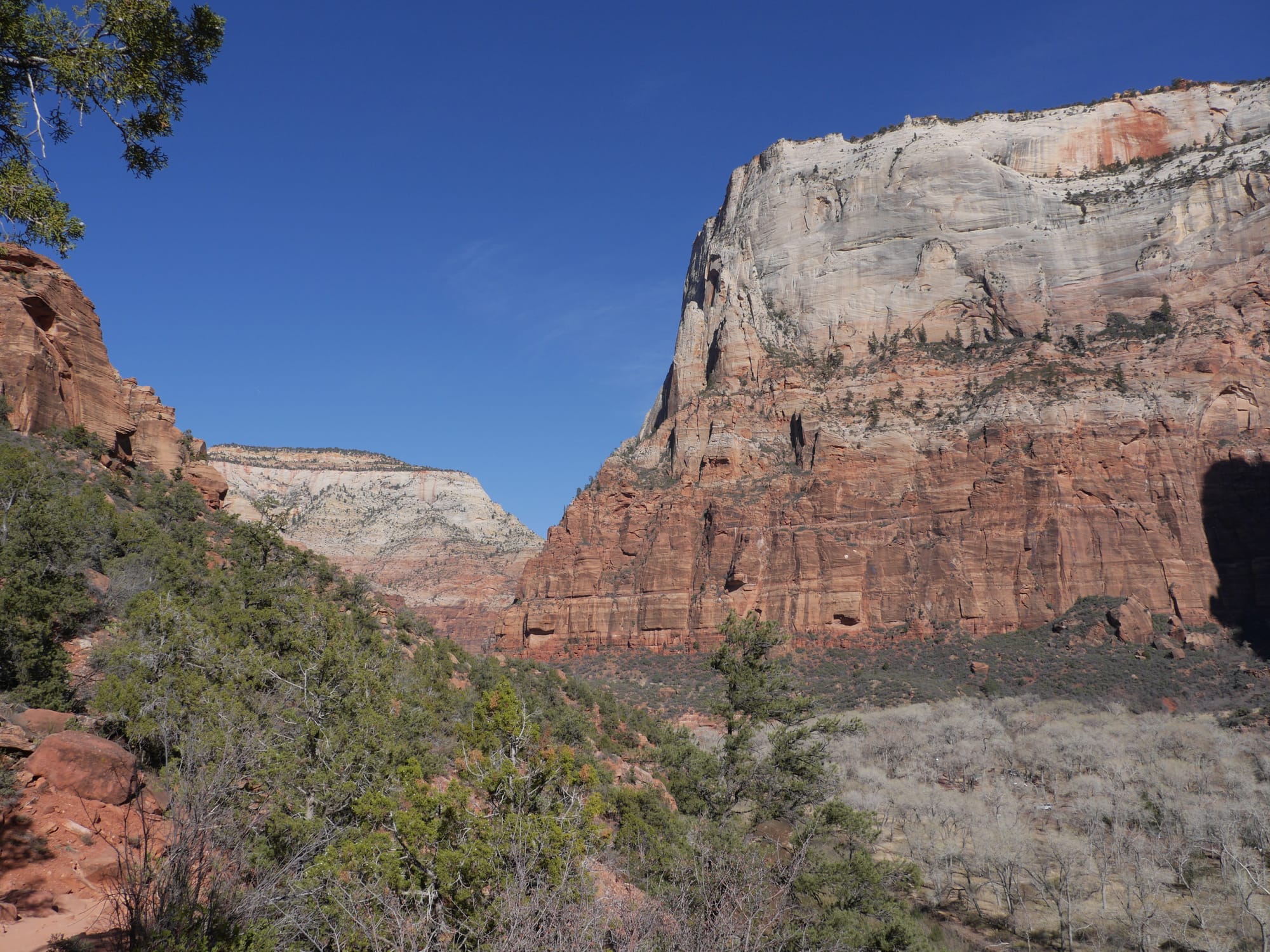 Photo by Author — The Grotto and Emerald Pools Trail, Zion National Park, Utah