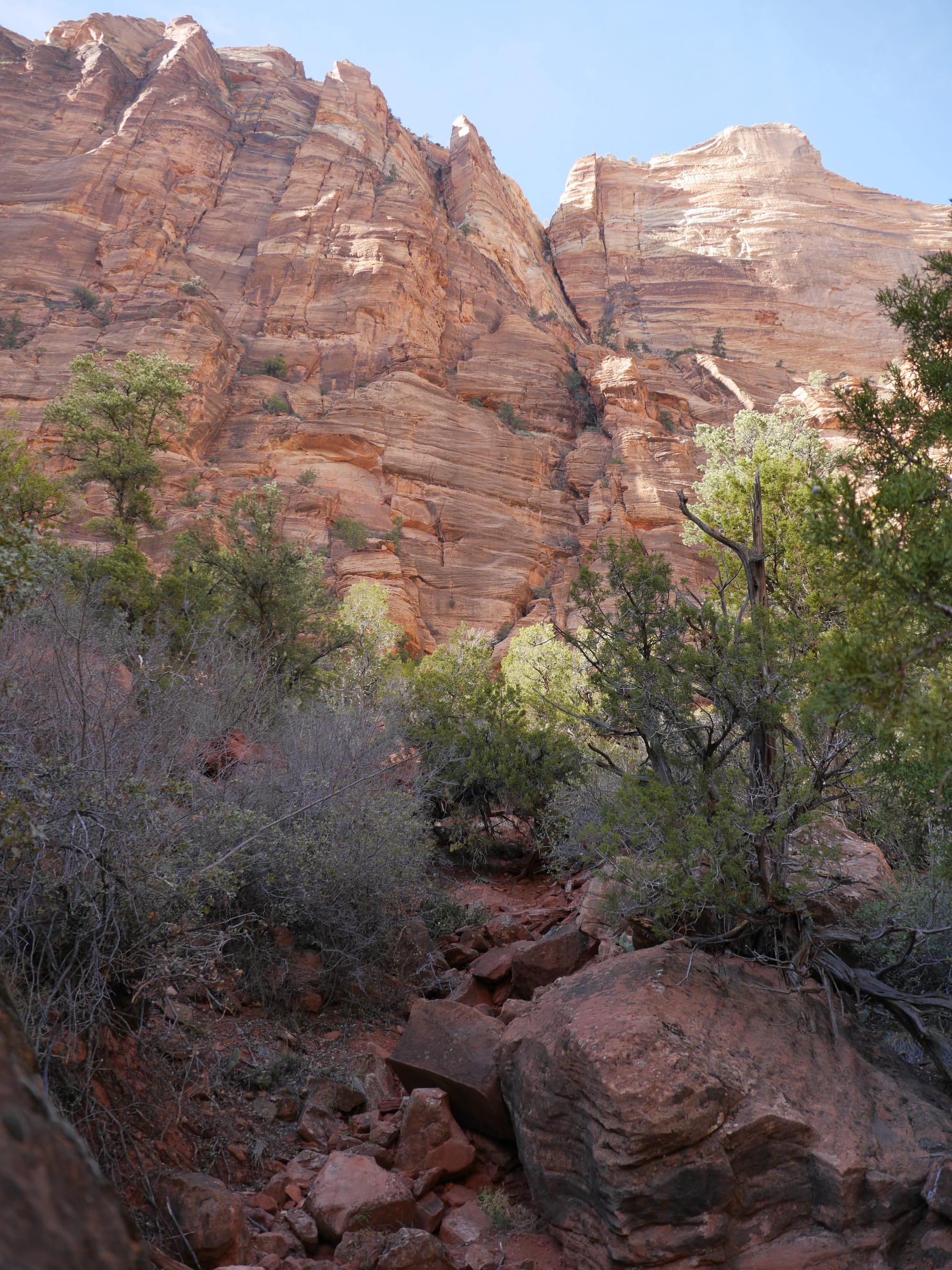 Photo by Author — The Grotto and Emerald Pools Trail, Zion National Park, Utah