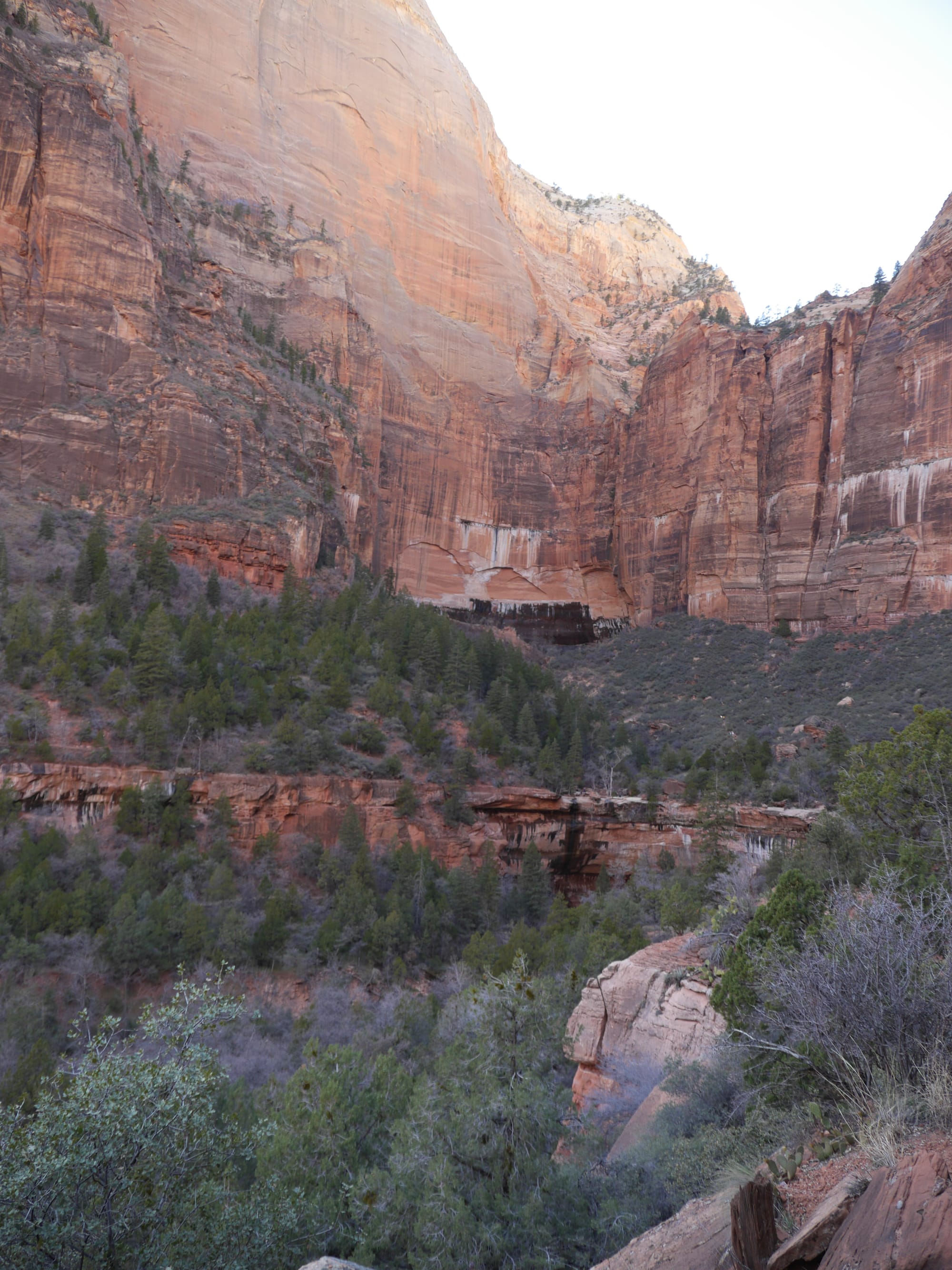 Photo by Author — The Grotto and Emerald Pools Trail, Zion National Park, Utah