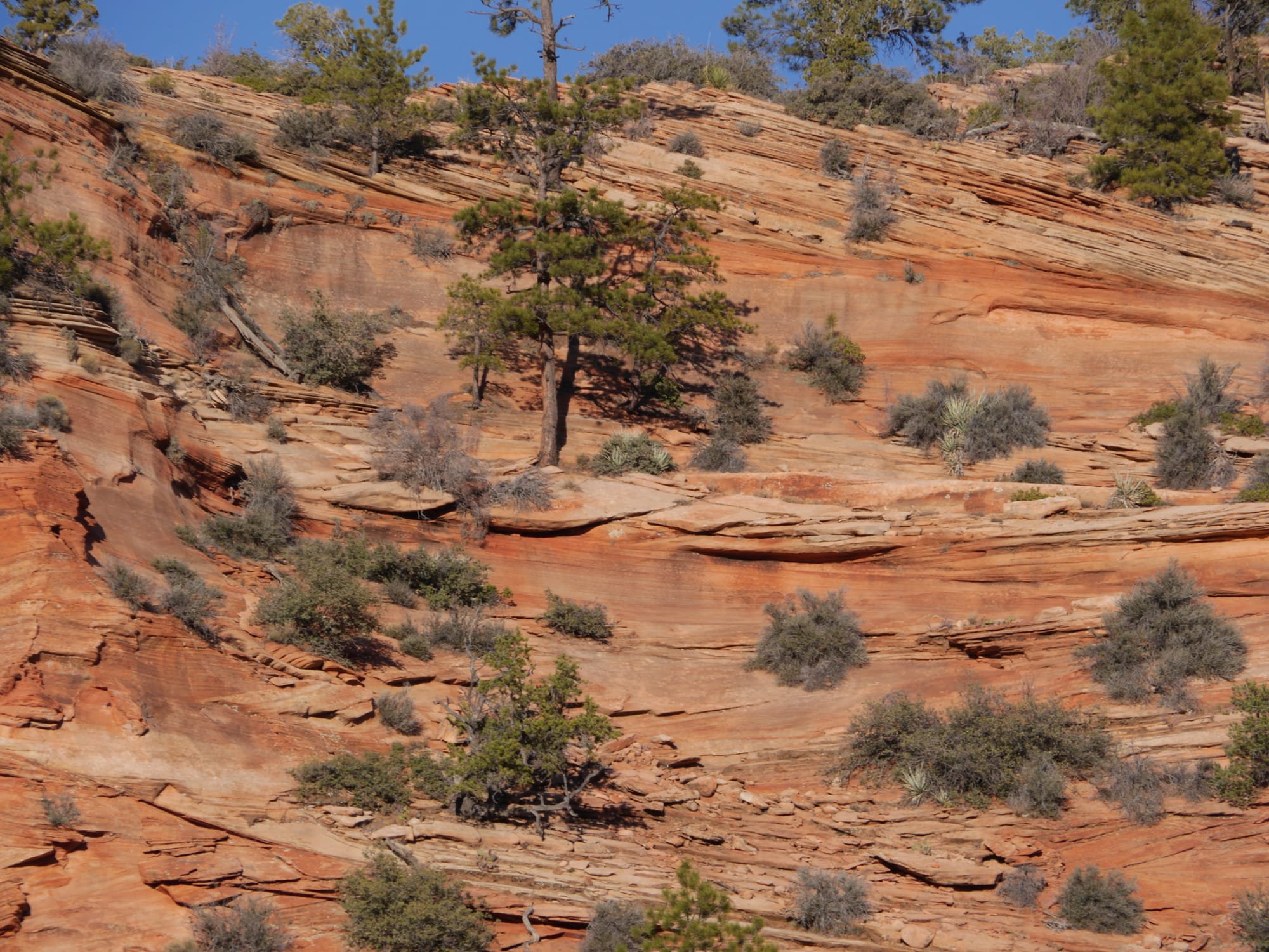 Photo by Author — drive to East Exit, Zion National Park, Utah — rock formations