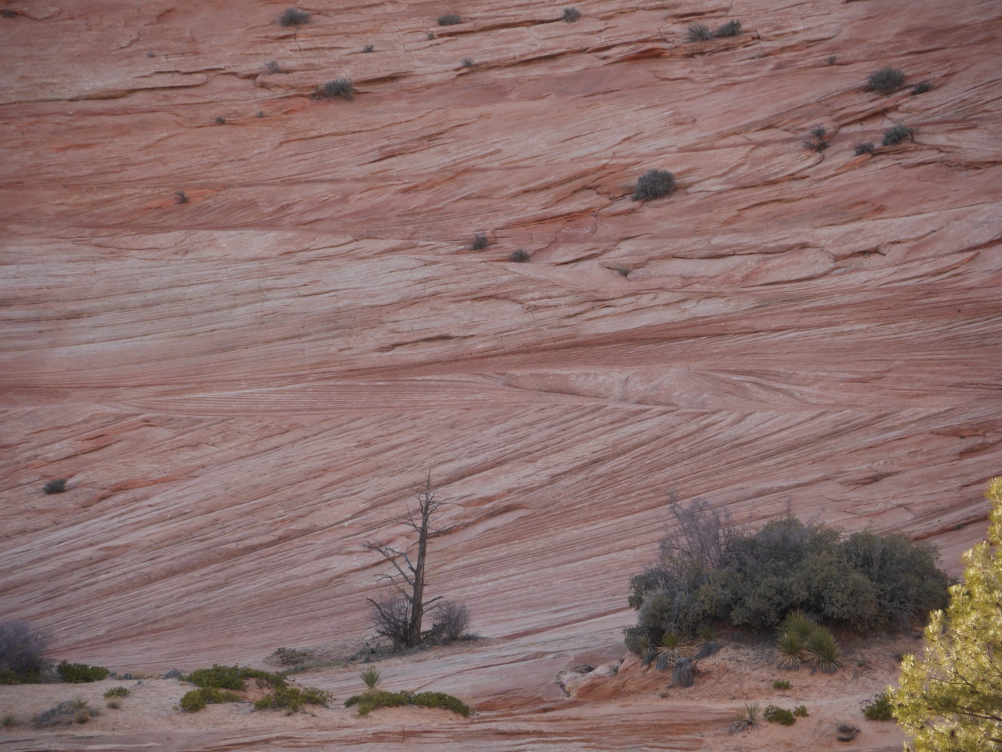 Photo by Author — drive to East Exit, Zion National Park, Utah — rock formations