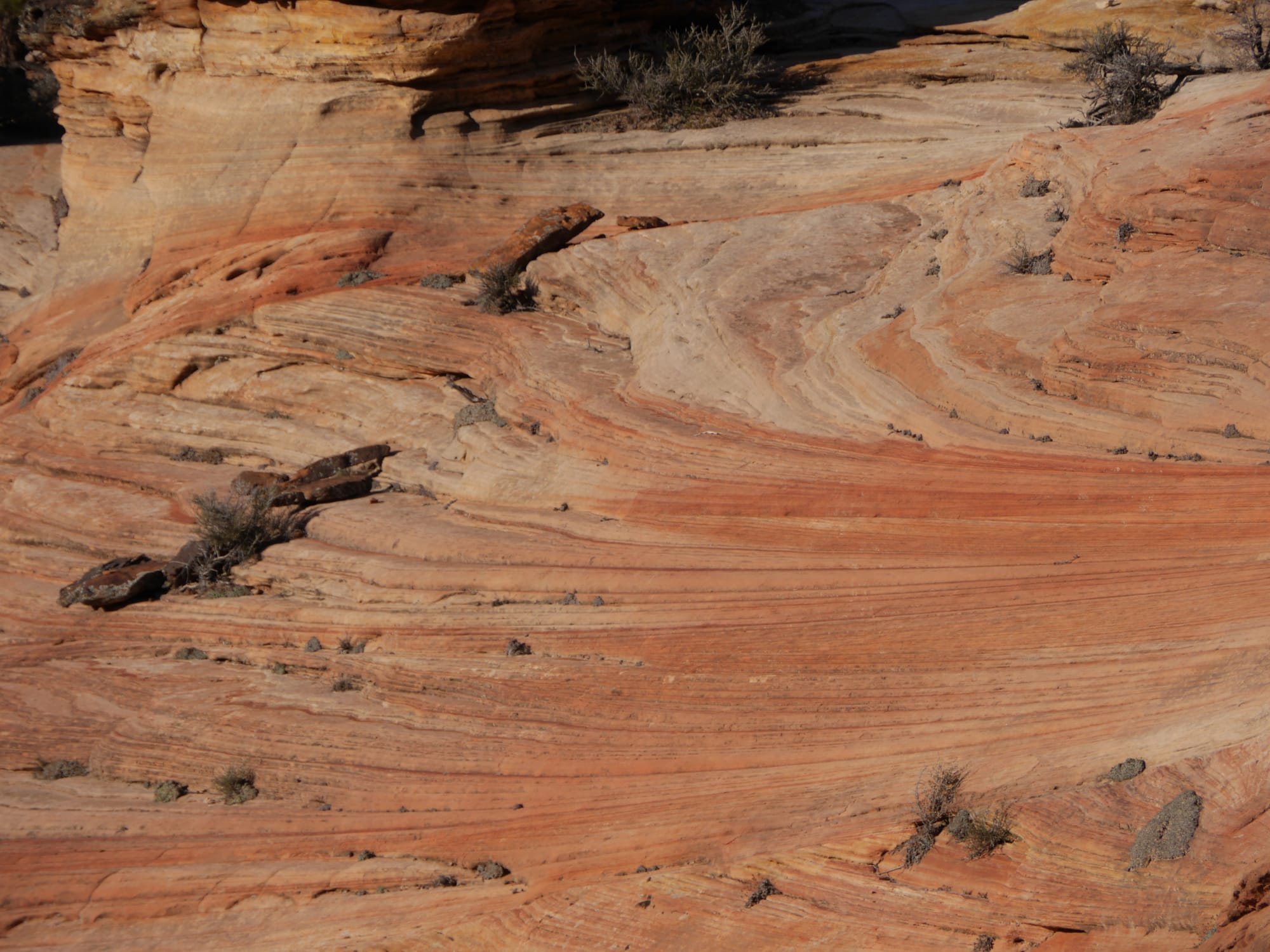 Photo by Author — drive to East Exit, Zion National Park, Utah — rock formations