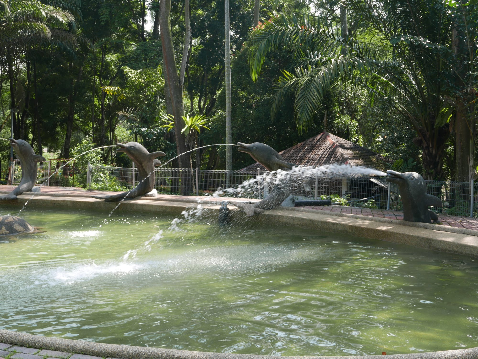 Photo by Author — ponds at the Hutan Bandar, Johor Bahru, Johor, Malaysia