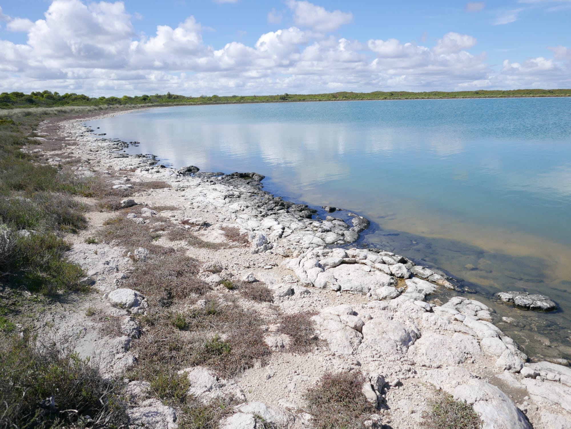 Photo by Author — shoreline of Lake Thetis, Cervantes, WA 6511, Australia