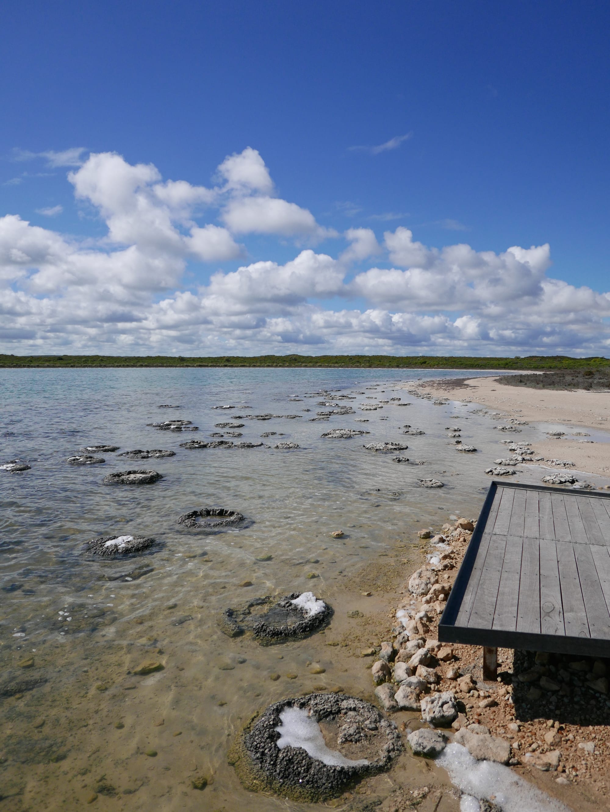 Photo by Author — Stromatolites at Lake Thetis, Cervantes, WA 6511, Australia