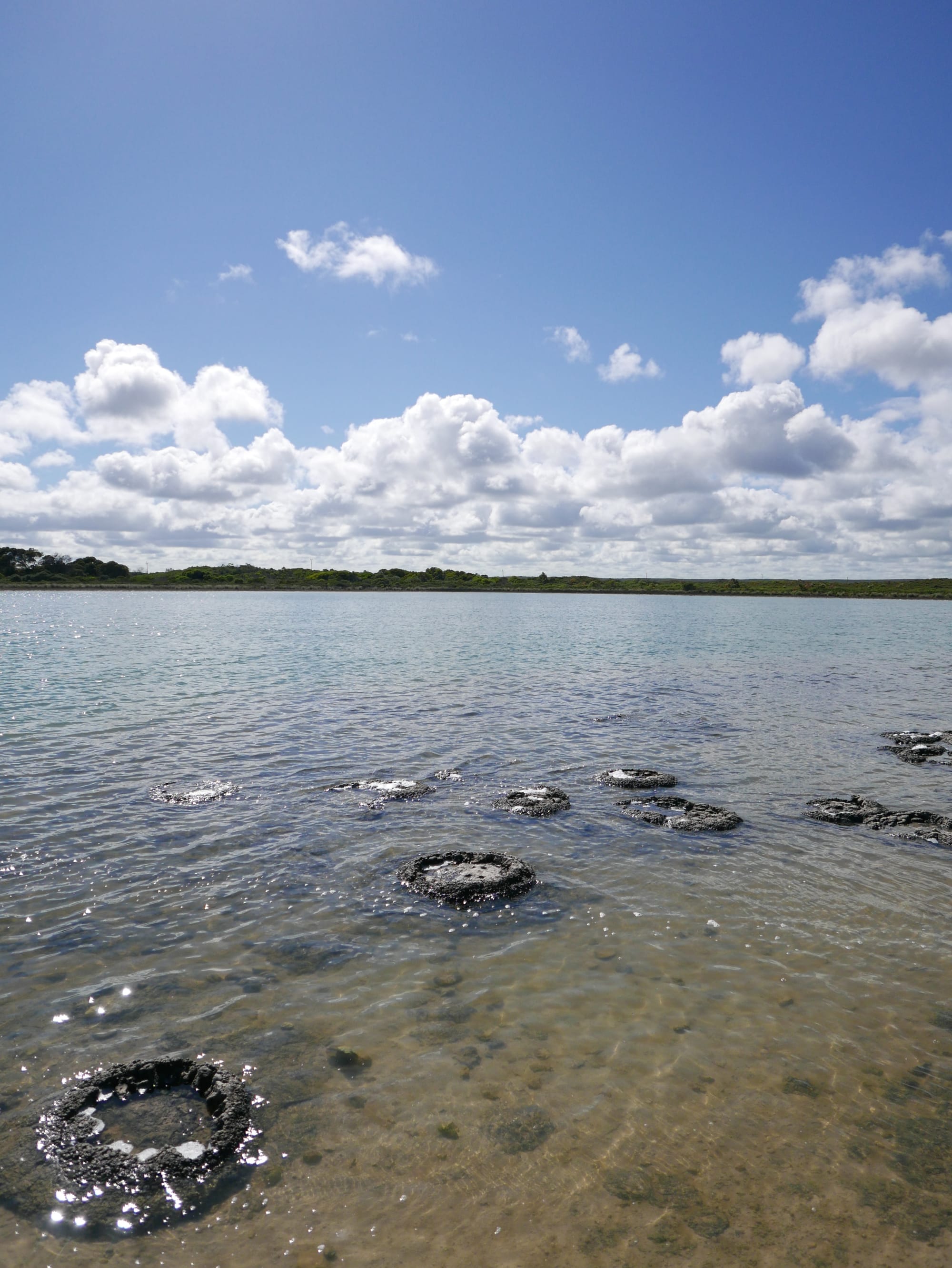Photo by Author — Stromatolites at Lake Thetis, Cervantes, WA 6511, Australia