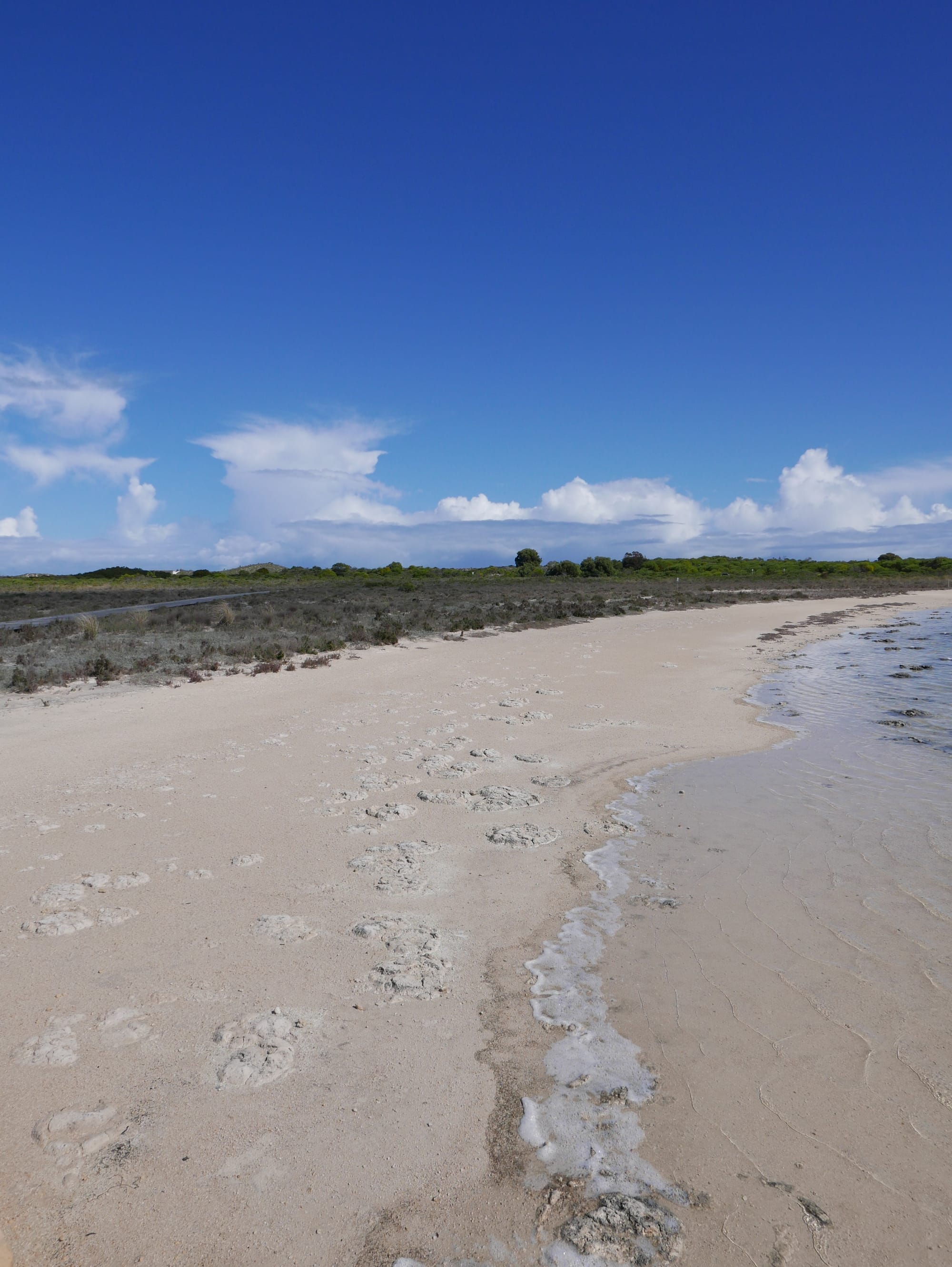Photo by Author — Stromatolites at Lake Thetis, Cervantes, WA 6511, Australia
