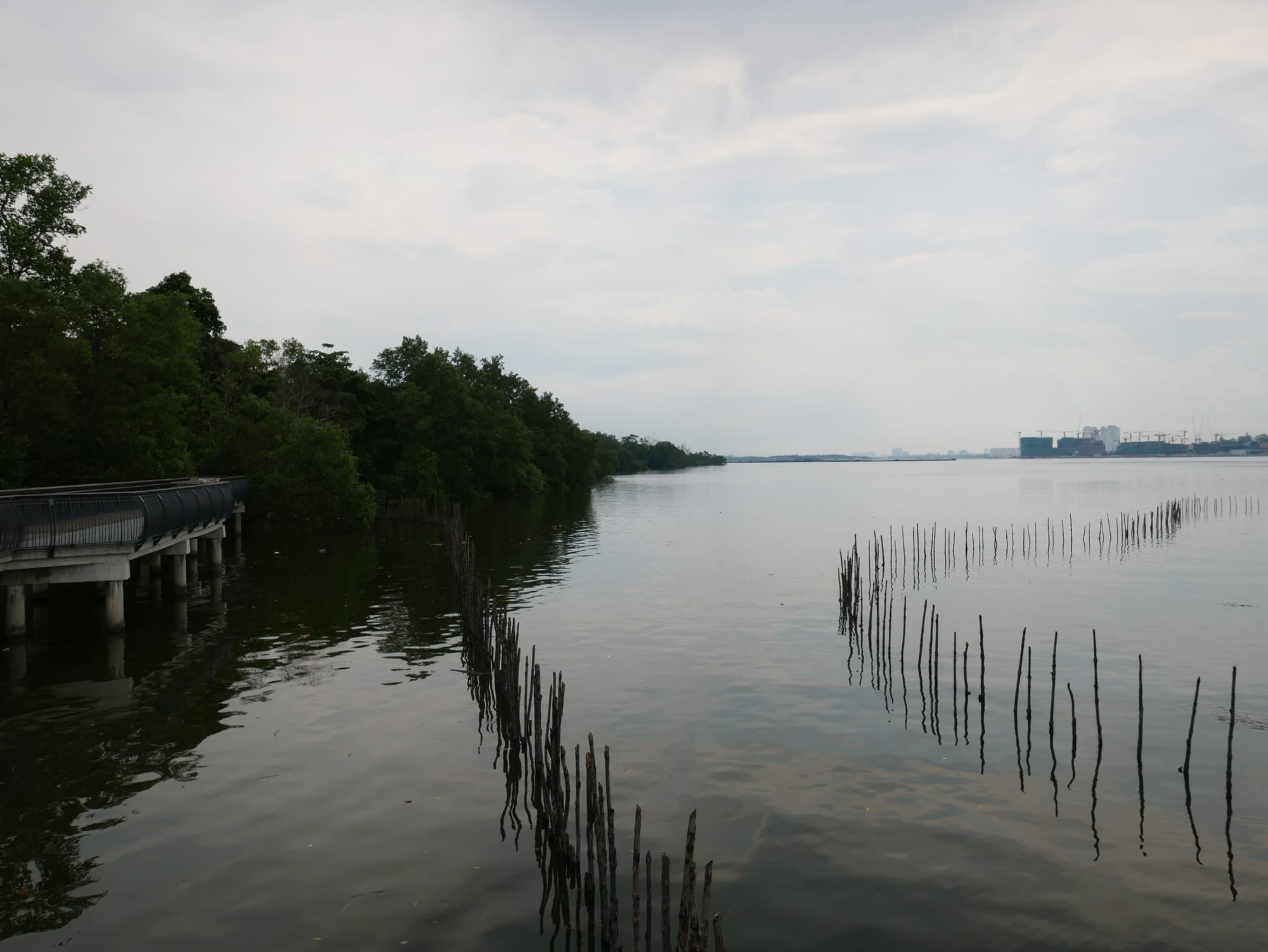 Photo by Author — coastal section of the Sungei Buloh Wetland Reserve, Singapore