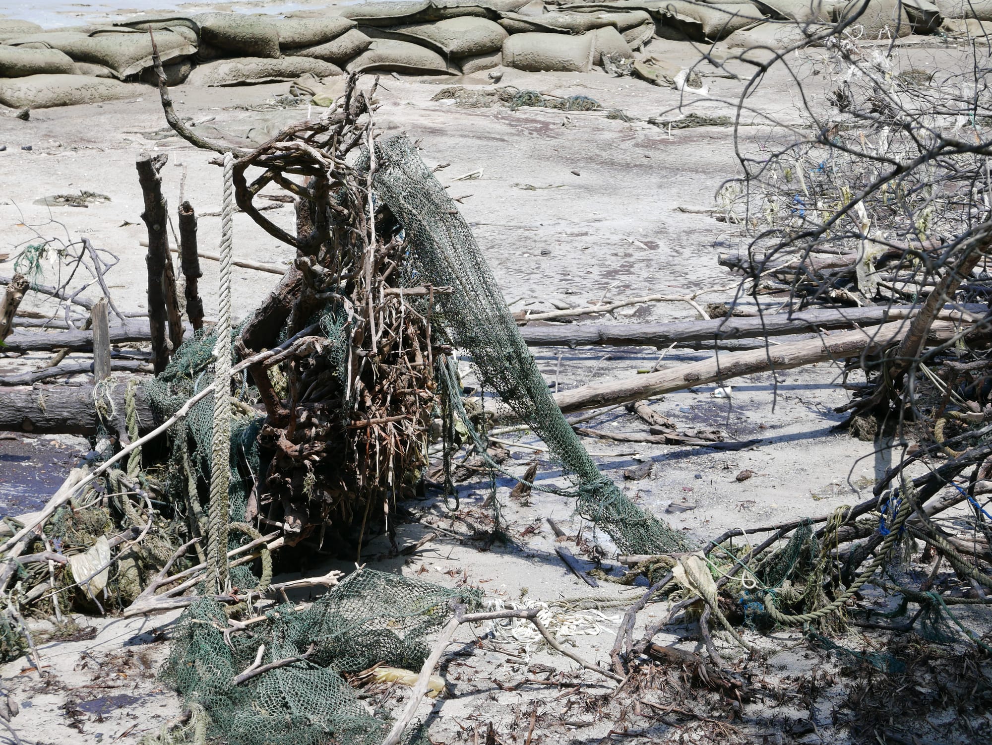 Photo by Author — pollution — Tanjung Piai National Park