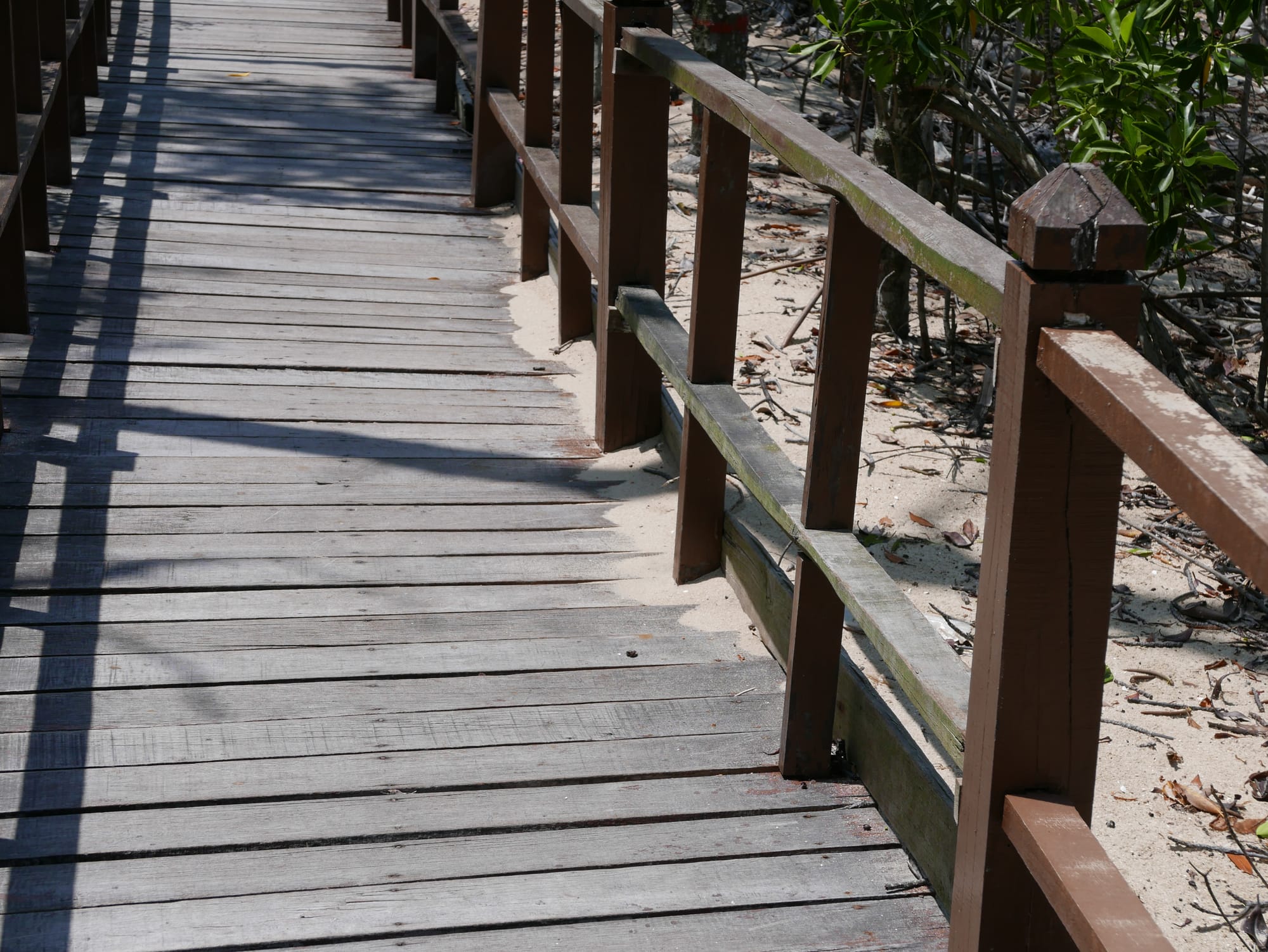 Photo by Author — sand from ruptured coastal protection sandbags — Tanjung Piai National Park