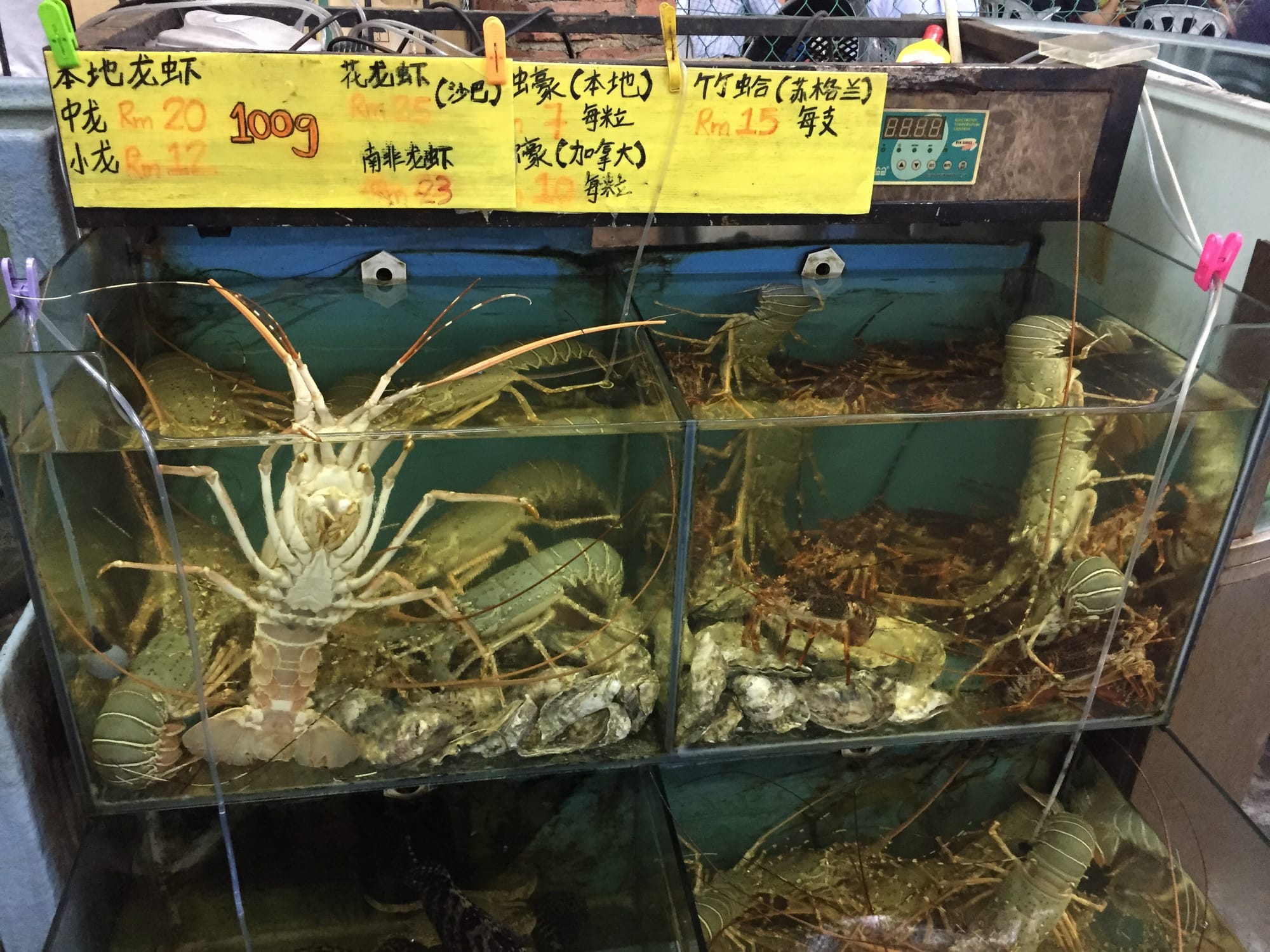 Photo by Author — other tasty treats — Tian Lai Seafood Garden 天来海鲜园