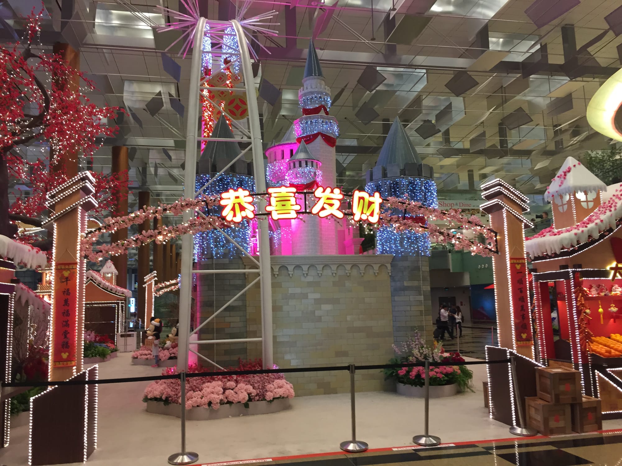Photo by Author — Changi Airport, Singapore — February 2015