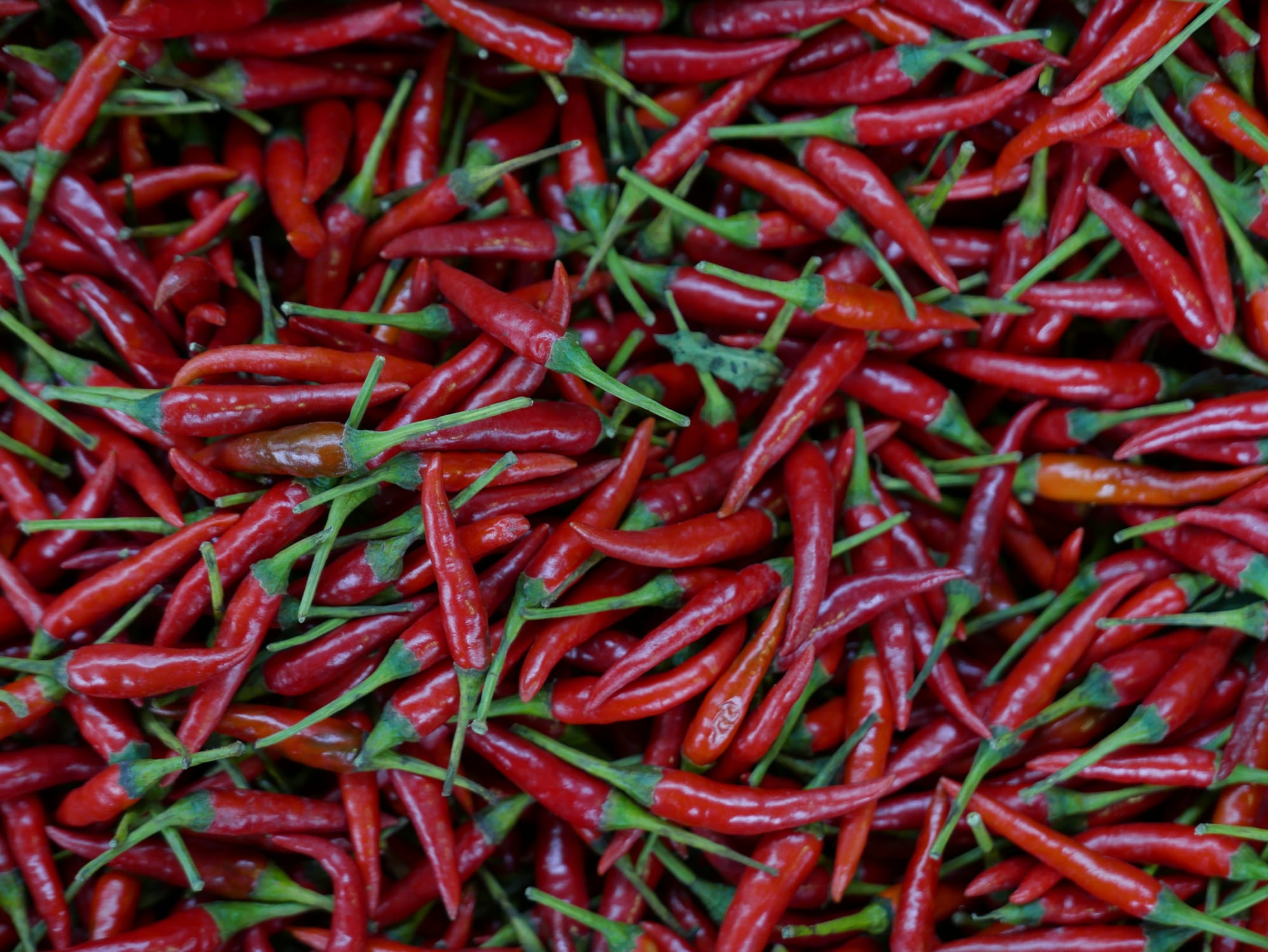 Photo by Author — chilis — Bestmart, Johor Bahru