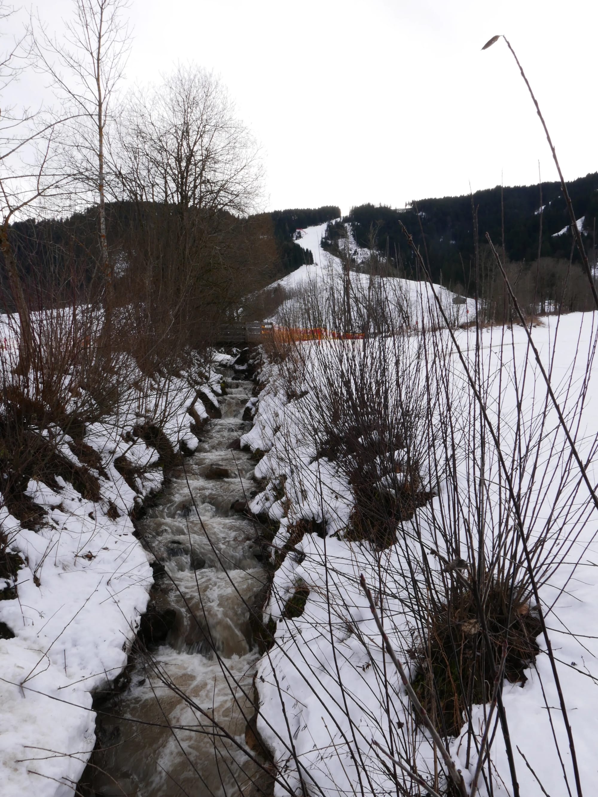 Photo by Author — January snowmelt