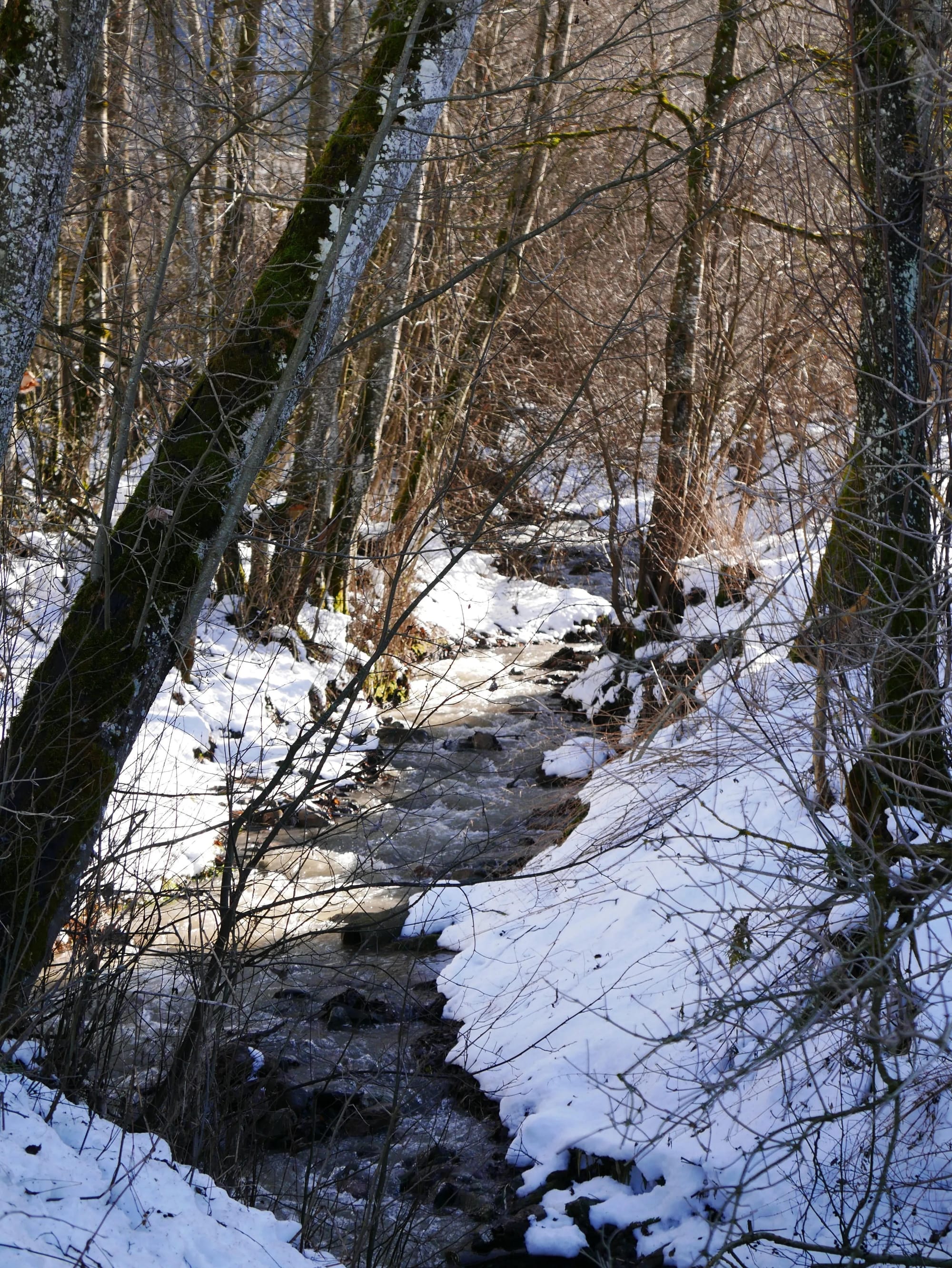 Stream running through the town.