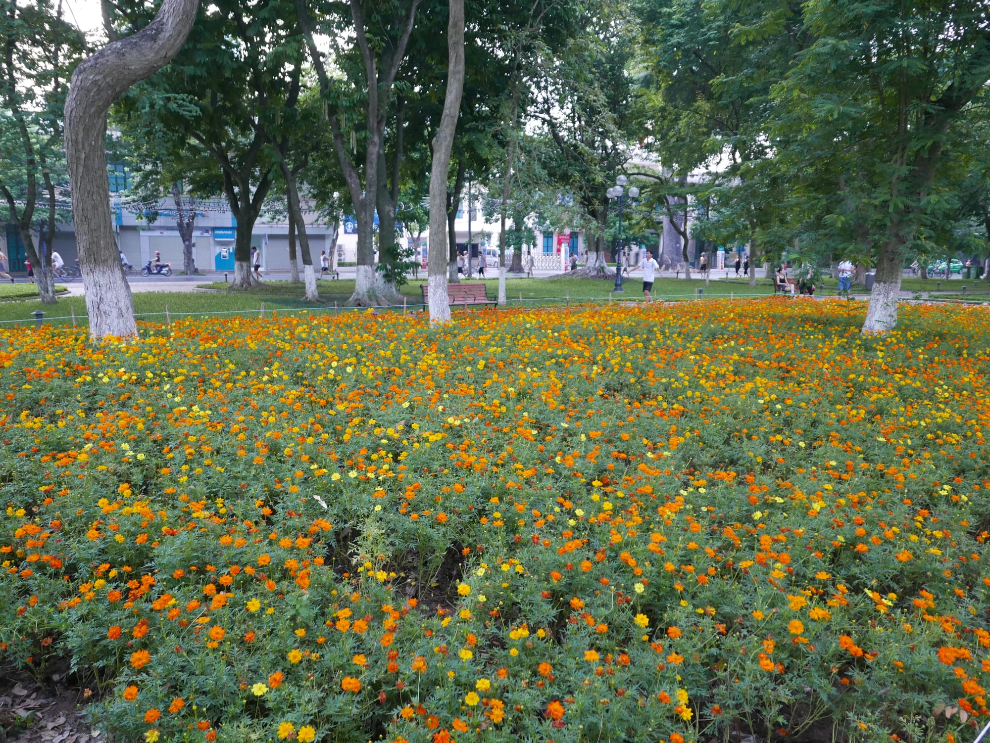 Photo by Author — Hồ Hoàn Kiếm (Hoan Kiem Lake), Đinh Tiên Hoàng (Lê Thái Tổ), Hoàn Kiếm, Thành Phố Hà Nội, Hanoi, Vietnam