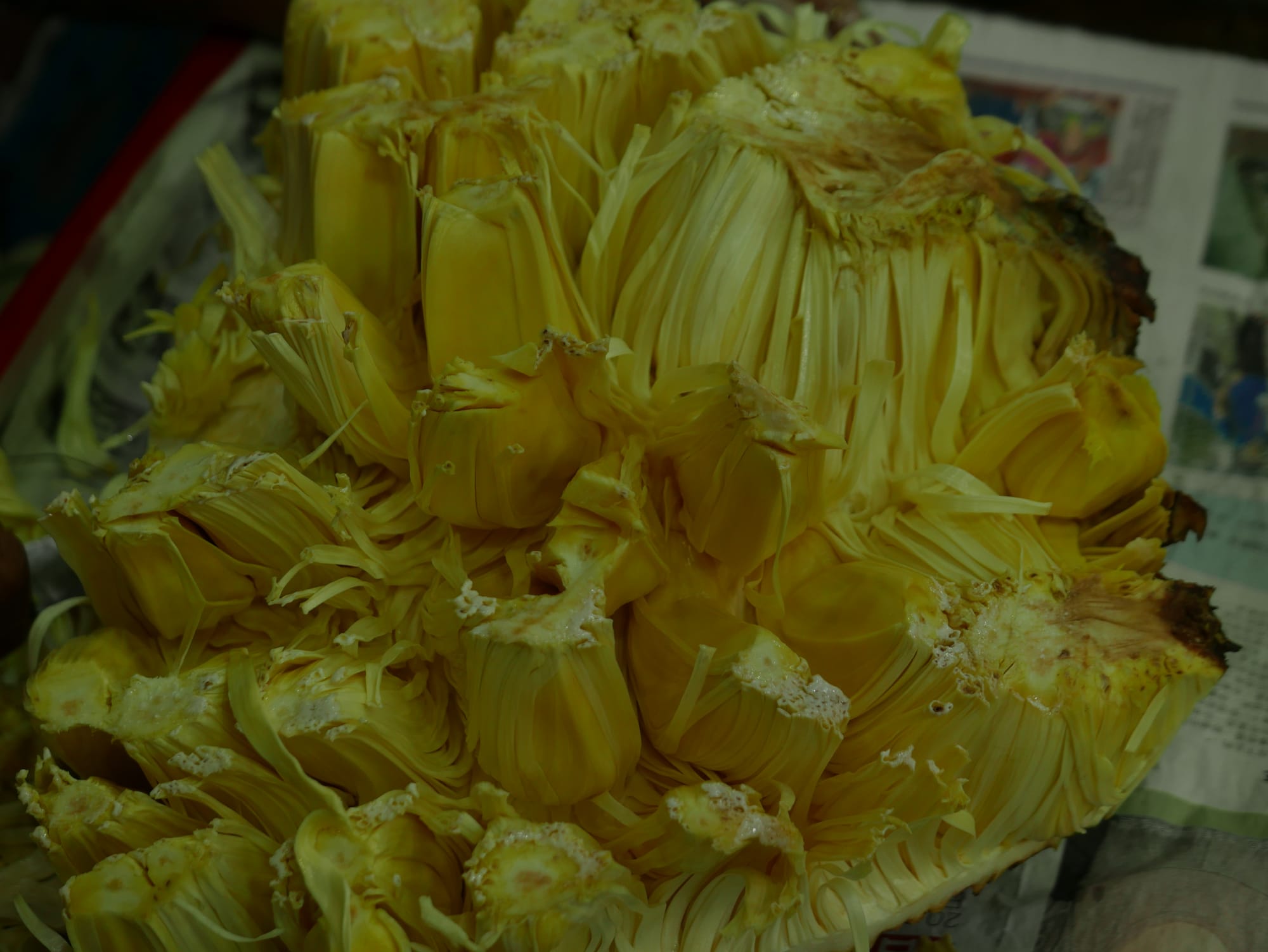 Photo by Author — Jack Fruit — Bestmart, Johor Bahru