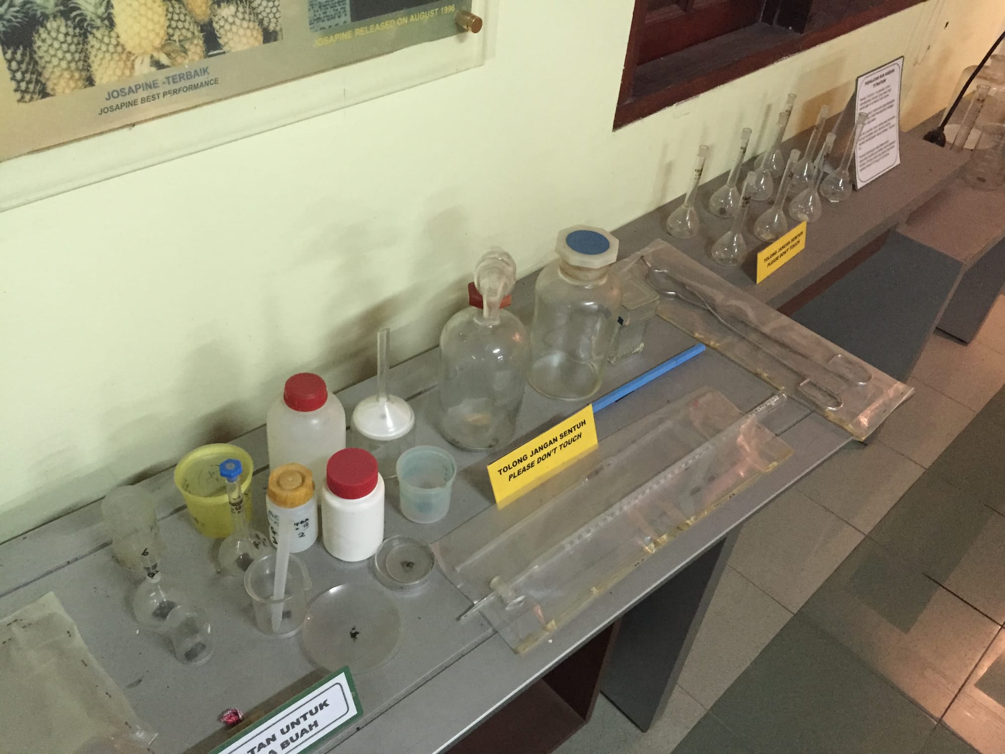 Photo by Author — science and pineapples — Muzium Nanas (Pineapple Museum), Johor, Malaysia