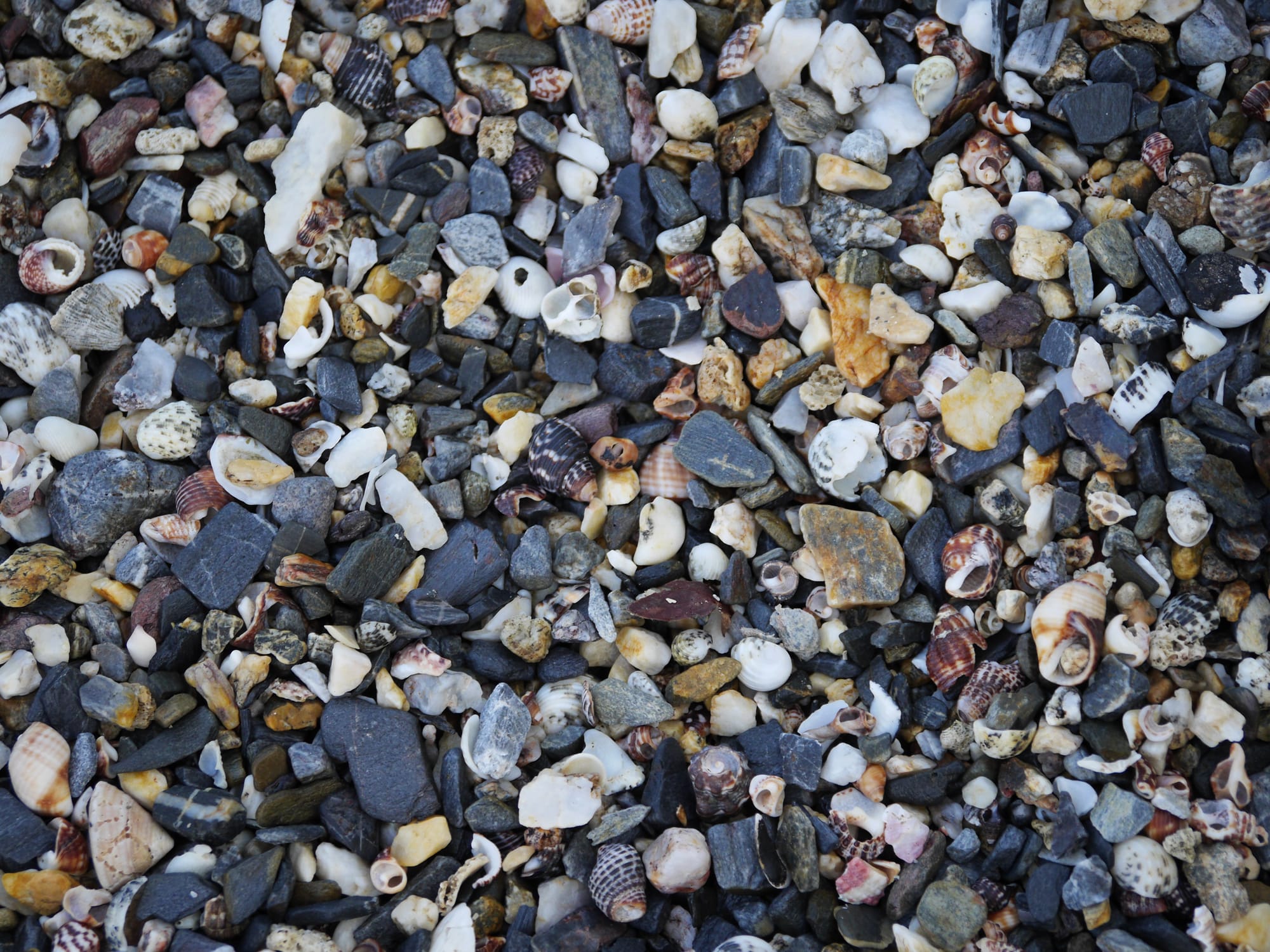 Photo by Author — shoreline of a cove near Tanjung Balau Beach, Kota Tinggi, Johor, Malaysia
