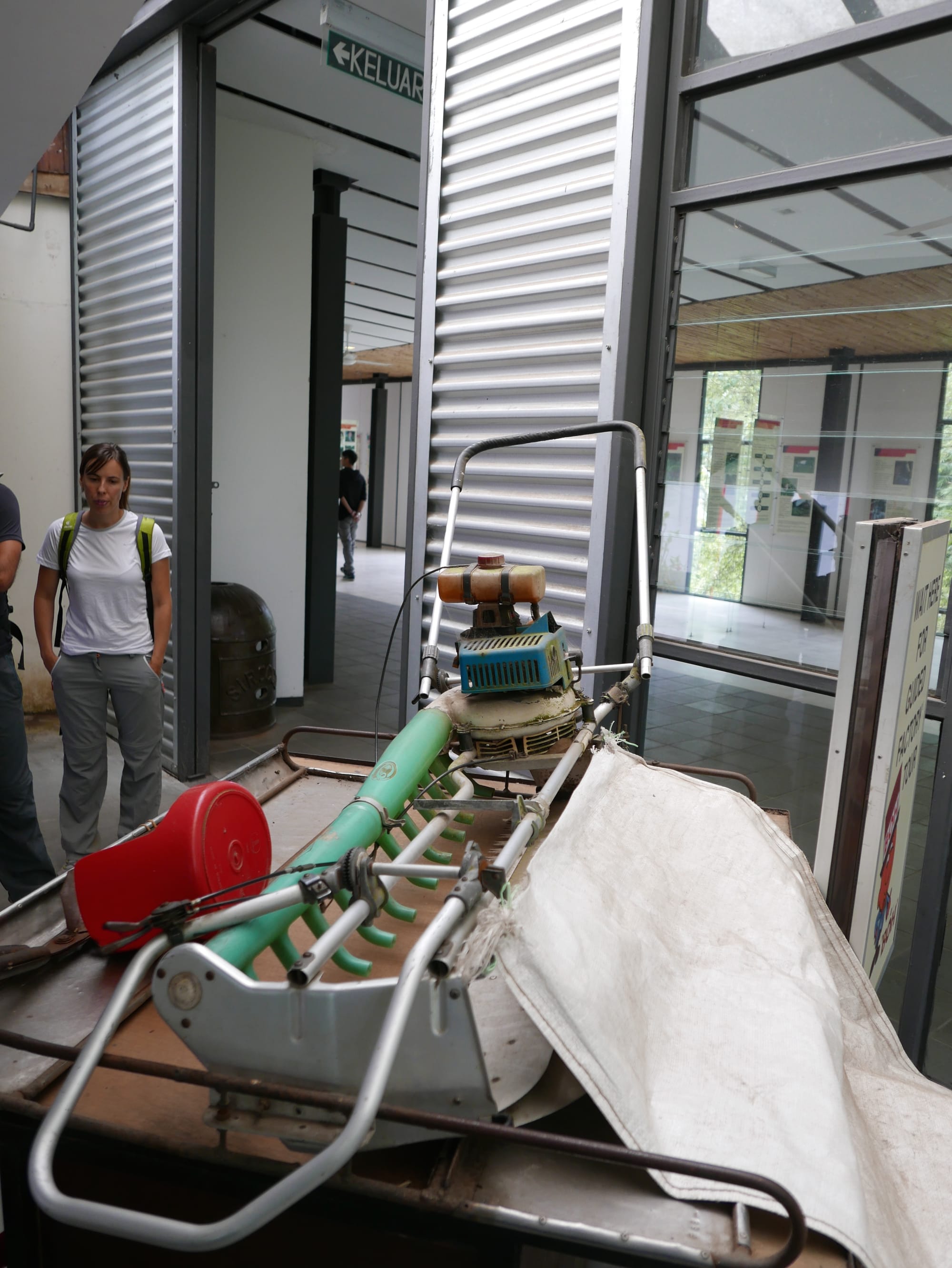 Photo by Author — harvesting tea the new way — BOH Sungei Palas Tea Centre, Cameron Highlands, Malaysia
