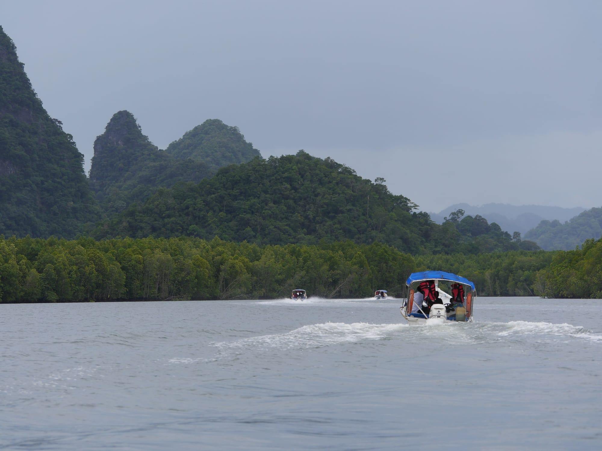 Photo by Author — Tg Rhu Mangrove Tour, Langkawi, Malaysia