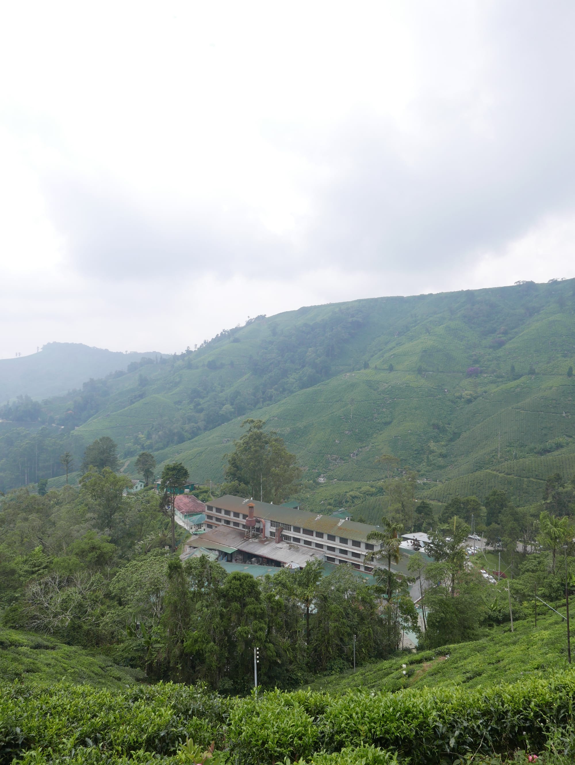 Photo by Author — the old BOH Tea Plantation Factory, Cameron Highlands, Malaysia