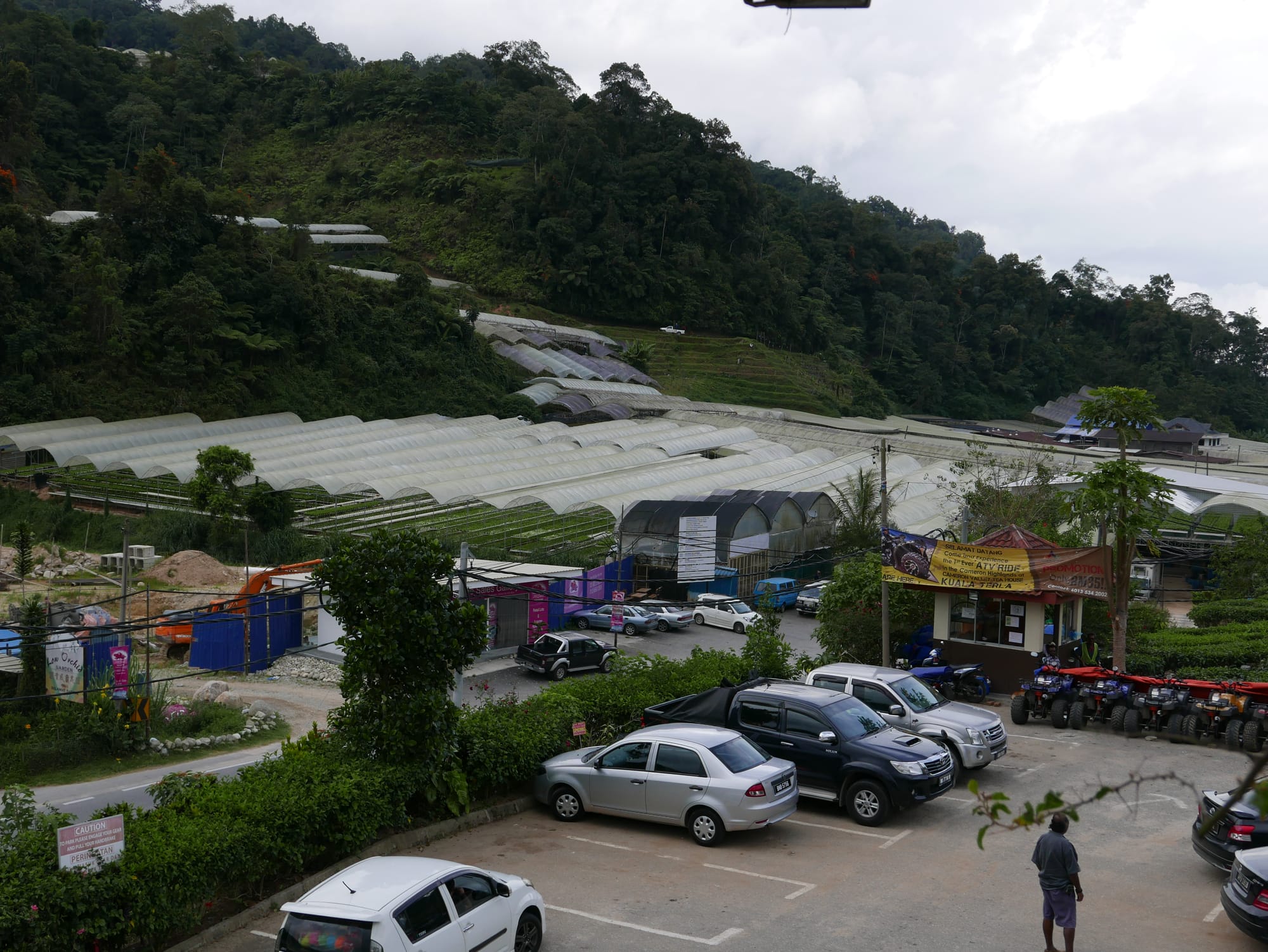 Photo by Author — the poly-tunnels of the Cameron Highlands, Malaysia