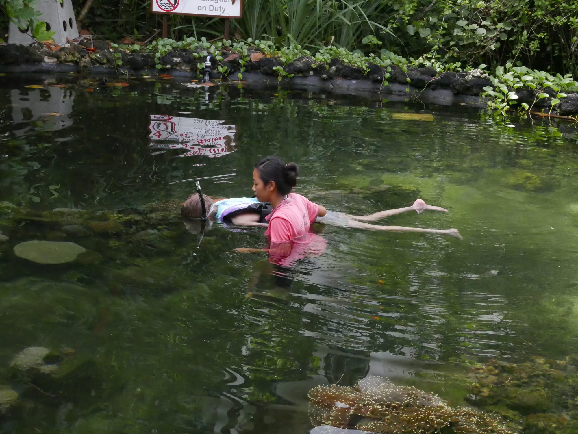 Photo by Author — a guided tour of the Coral Reef Project, Andaman Hotel, Langkawi, Malaysia