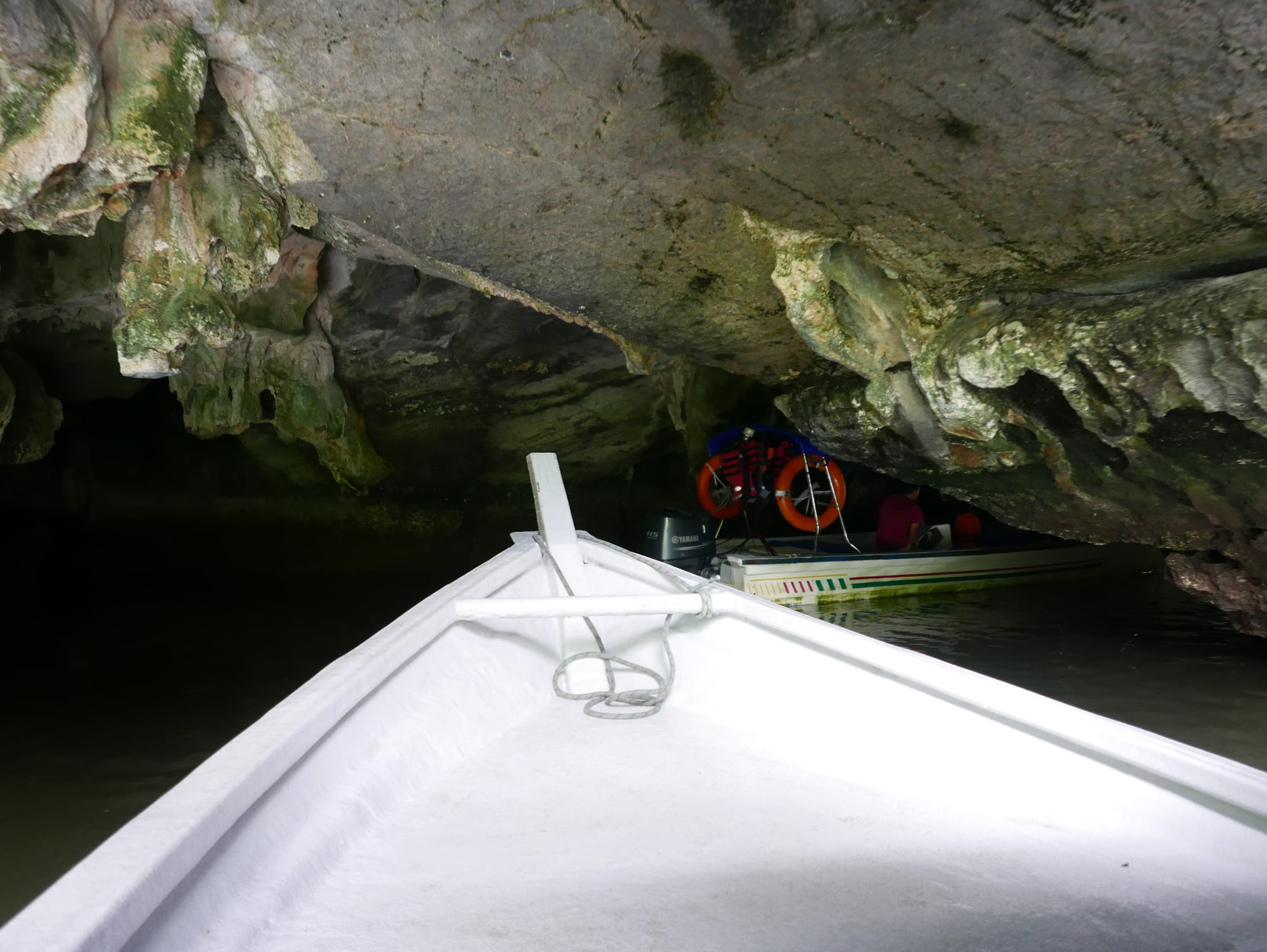 Photo by Author — bats in Crocodile Cave — Tg Rhu Mangrove Tour, Langkawi, Malaysia