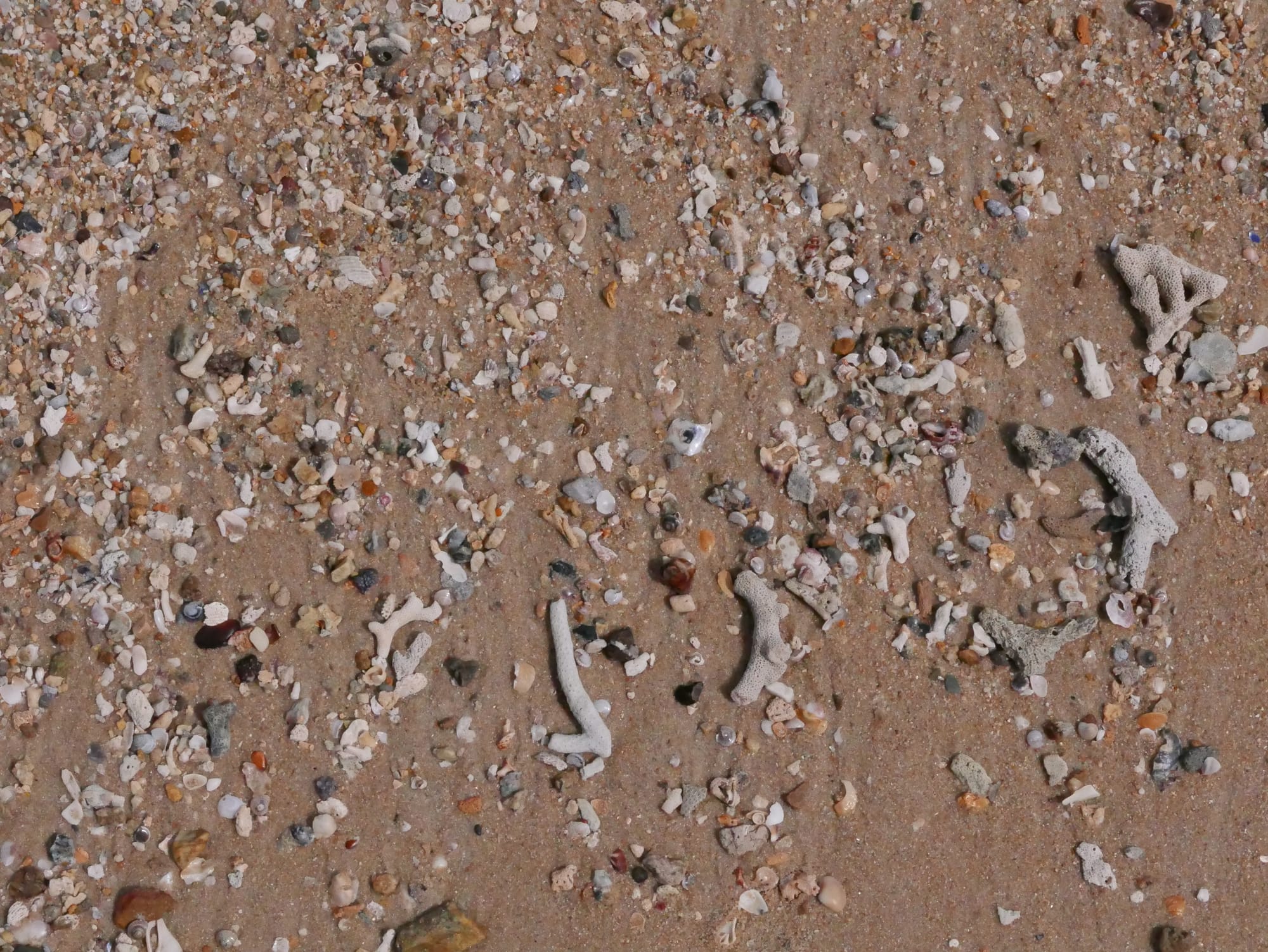 Photo by Author — evidence of the destructive power of the tsunami, broken coral on the beach at the Andaman Hotel, Langkawi, Malaysia