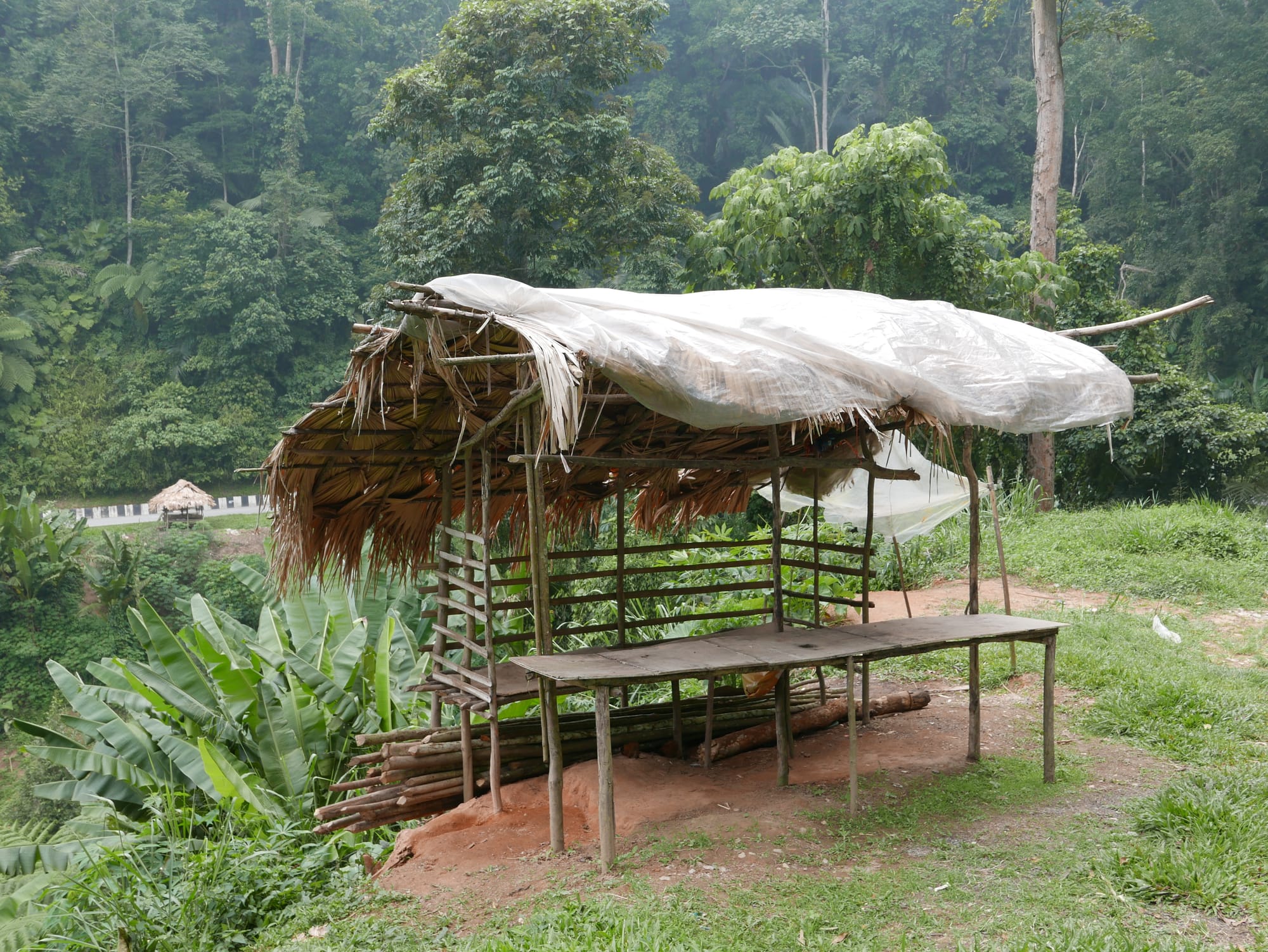 Photo by Author — a roadside stall on my drive up to the Cameron Highlands in Malaysia