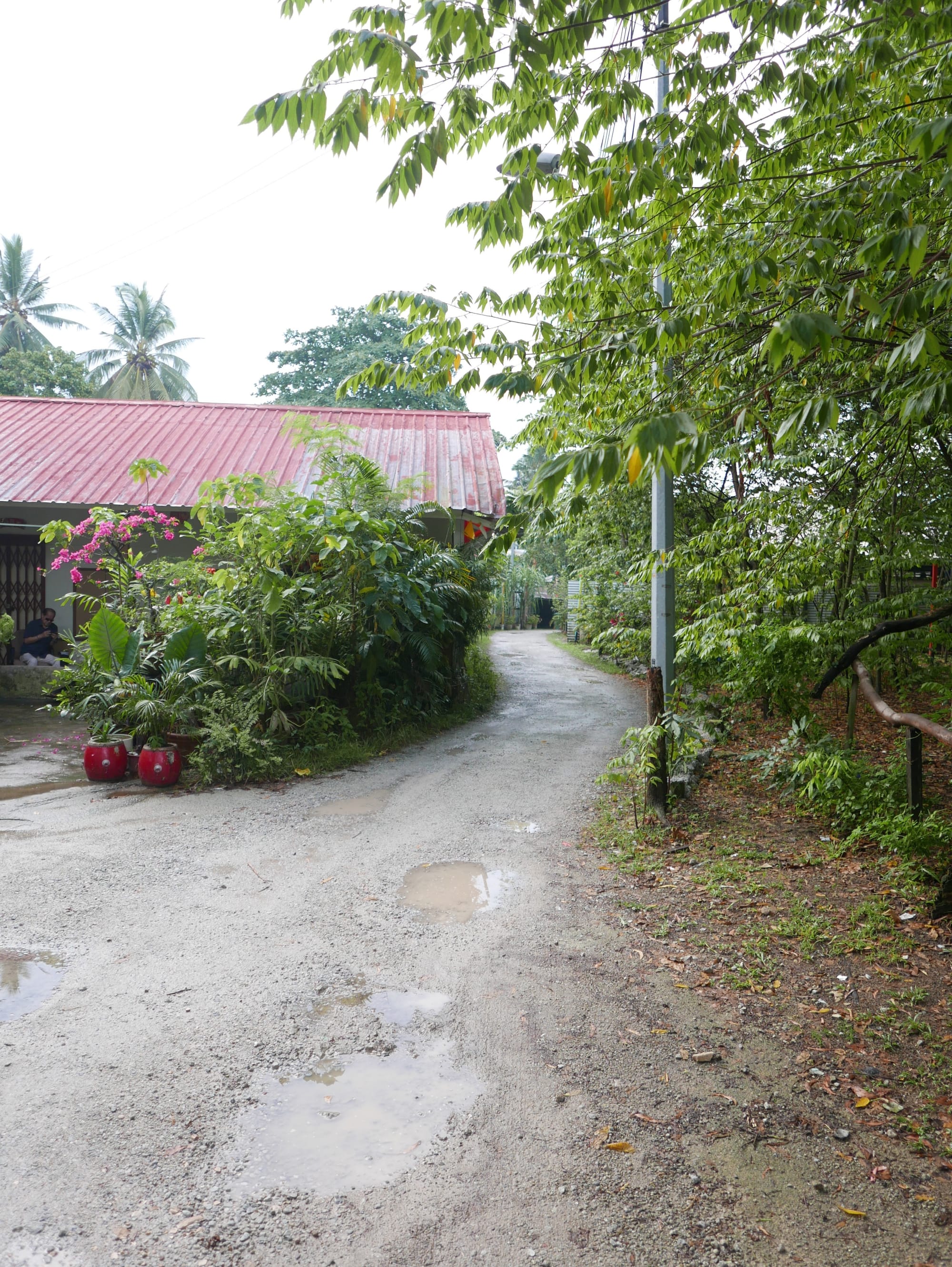 Photo by Author — the road into Kampong Lorong Buangkok, Singapore