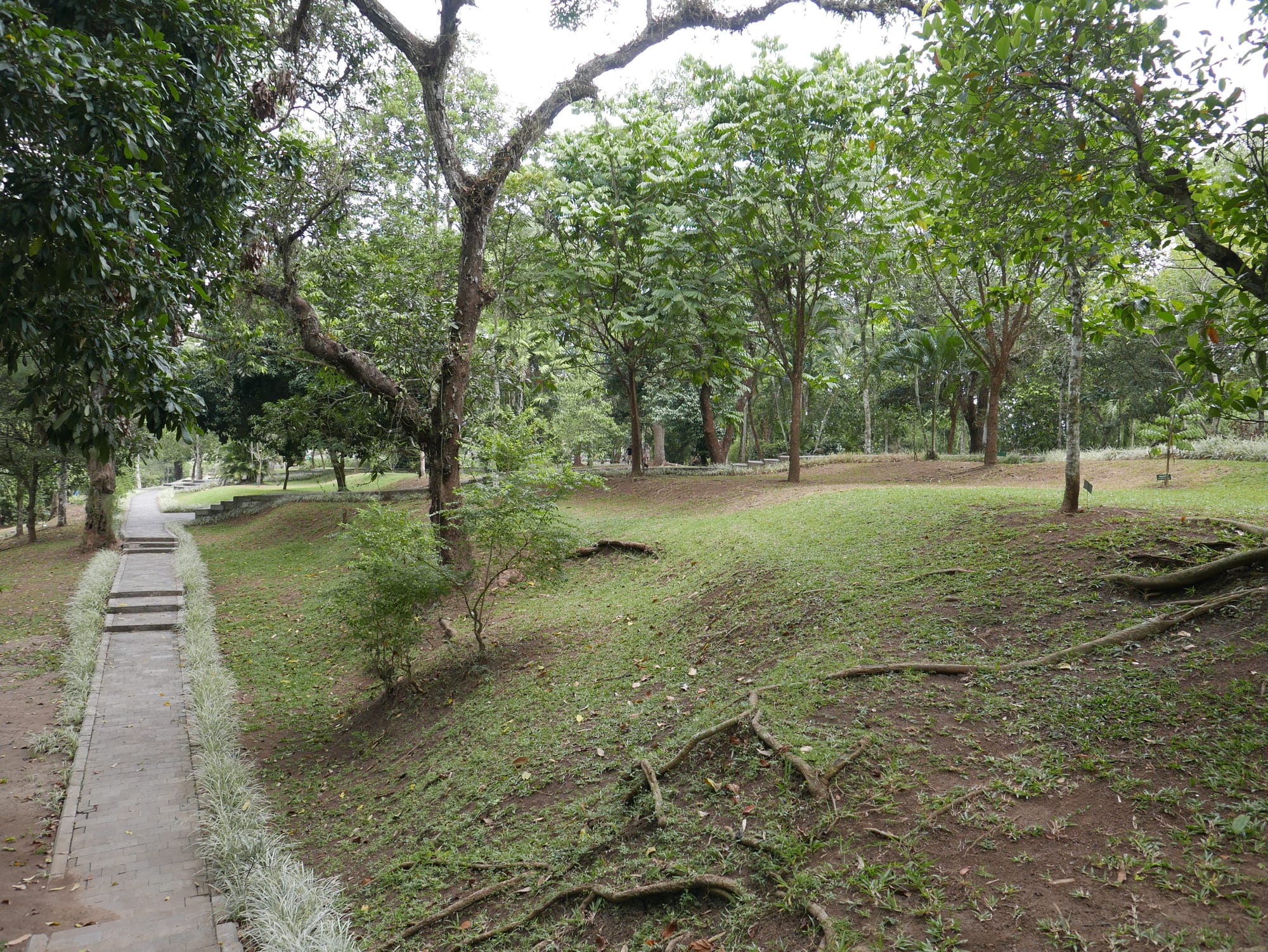 Photo by Author — the gardens at the Pura Taman Ayun, Bali, Indonesia — a Royal Water Temple