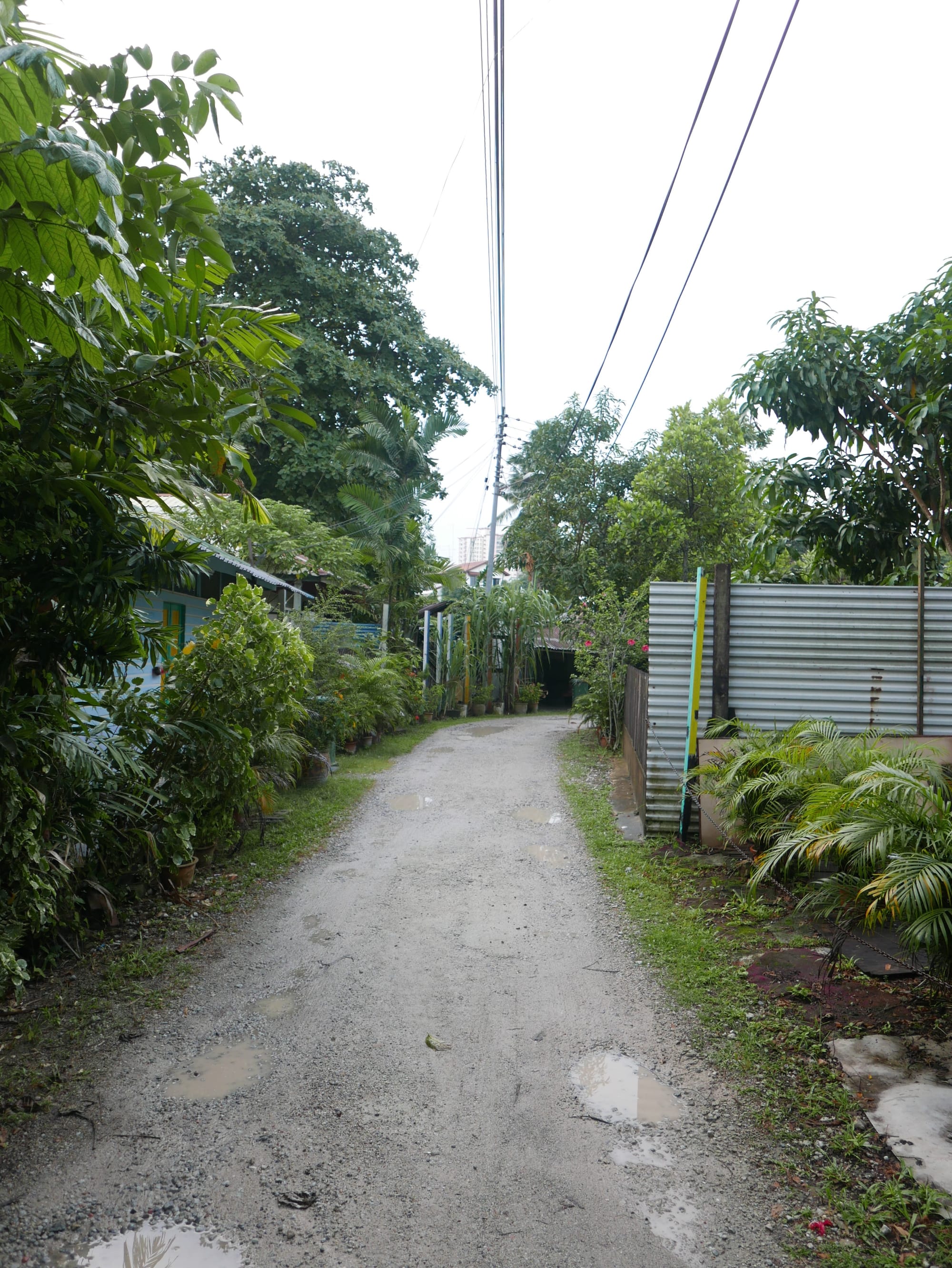 Photo by Author — “Main Street” — Kampong Lorong Buangkok, Singapore